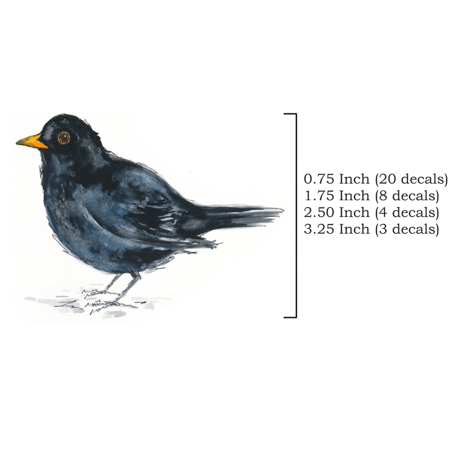 Blackbird Bird Overglaze Waterslide Ceramic Decals