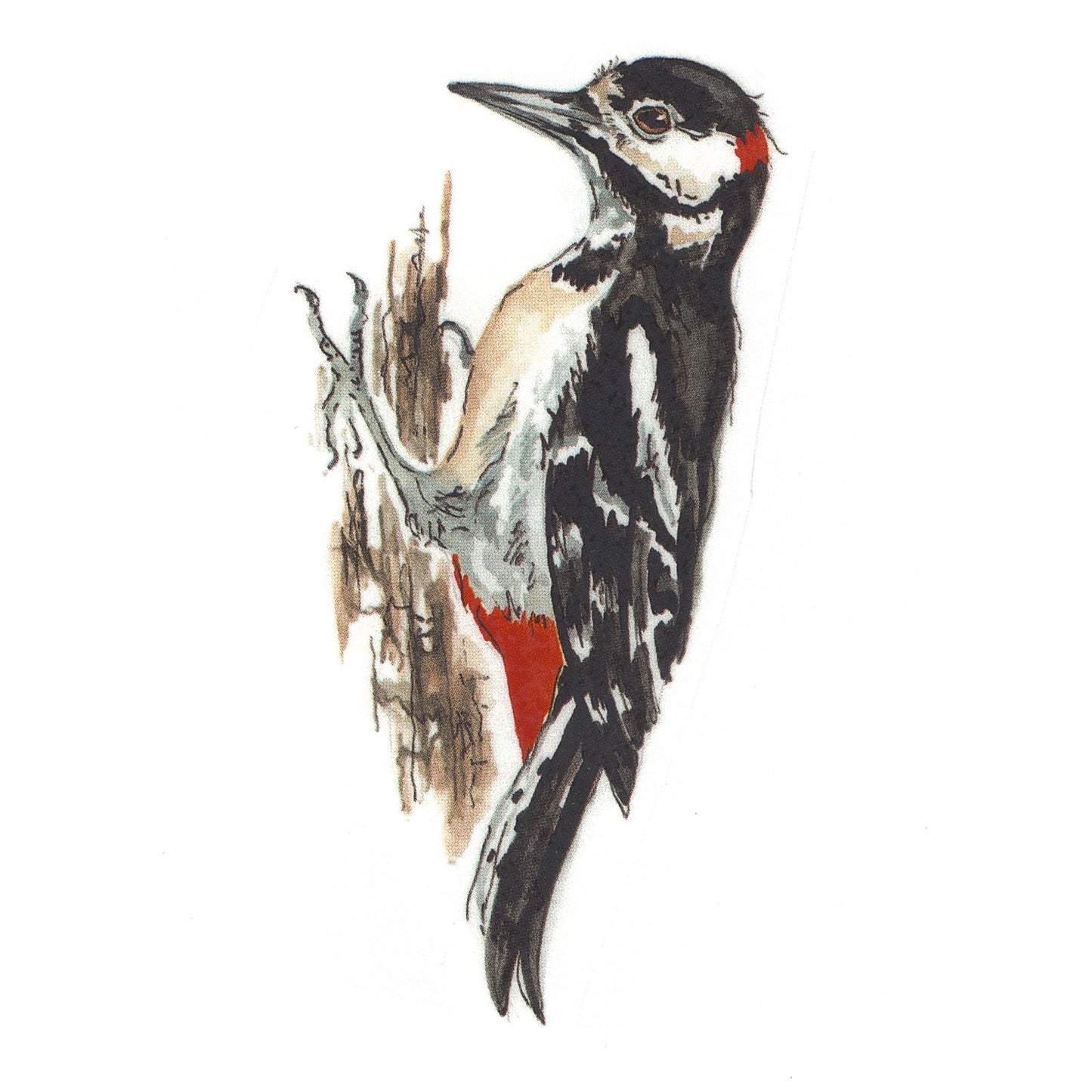 Spotted Woodpecker Bird Overglaze Waterslide Ceramic Decals
