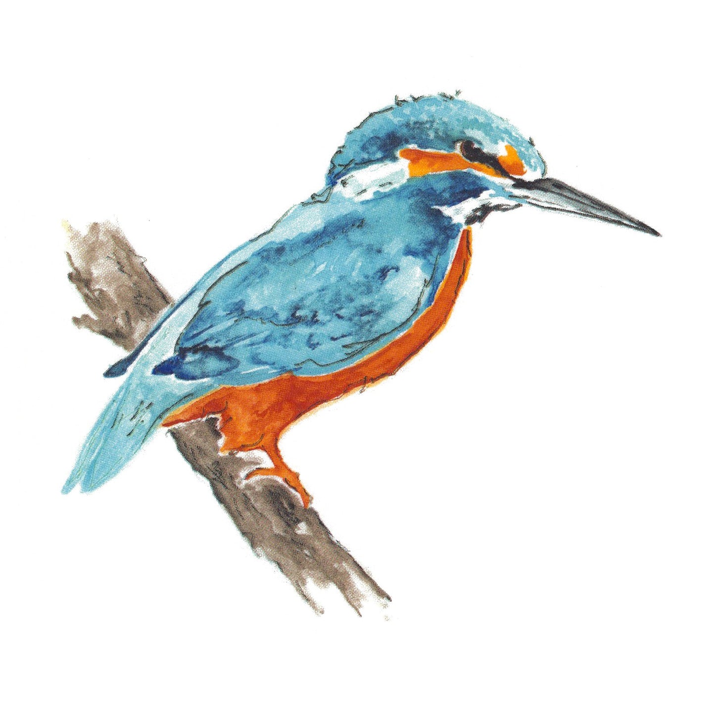 Kingfisher Bird Overglaze Waterslide Ceramic Decals