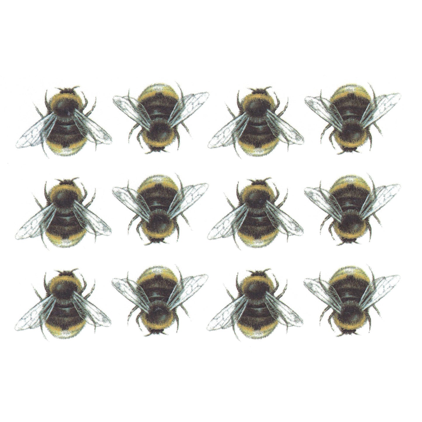 Black Yellow Bumblebee Bee Bees Overglaze Waterslide Ceramic Decals