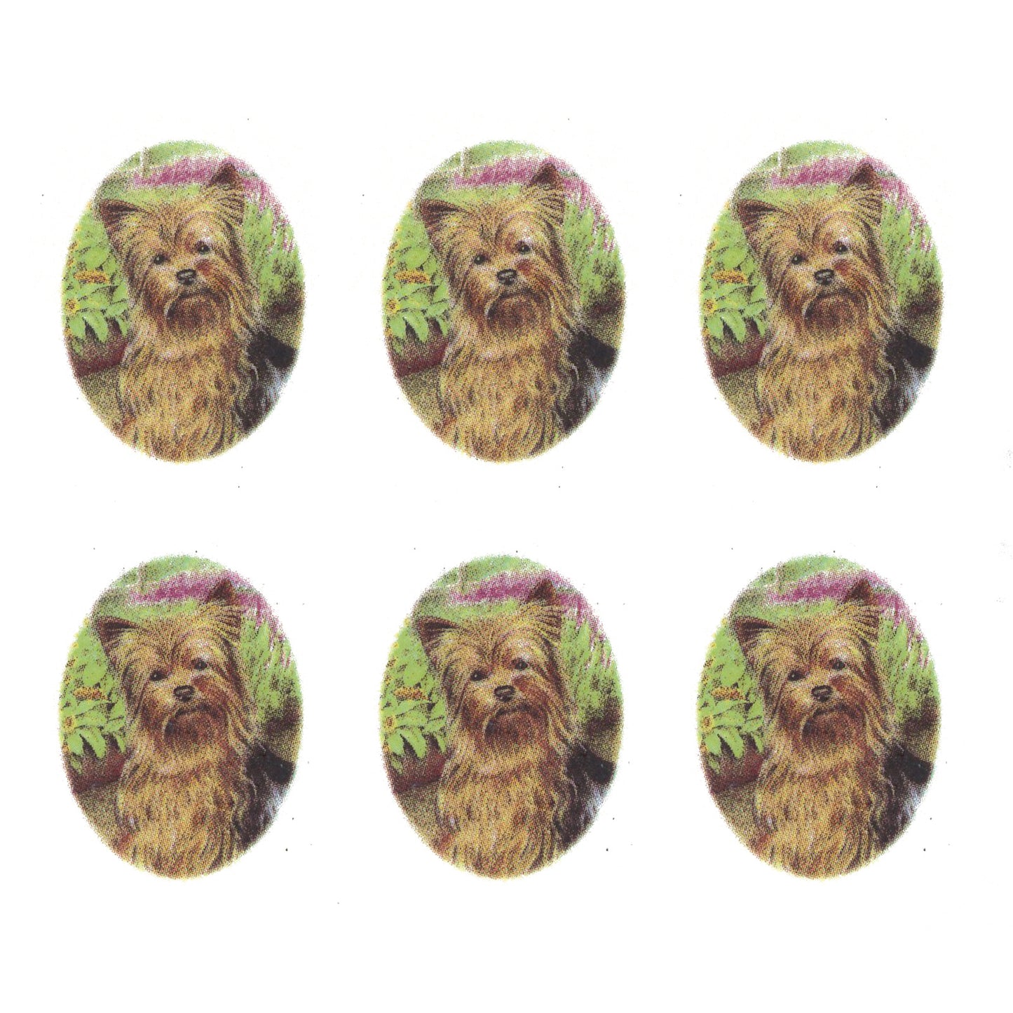 Yorkie Yorkshire Terrier Oval Garden Overglaze Waterslide Ceramic Decals