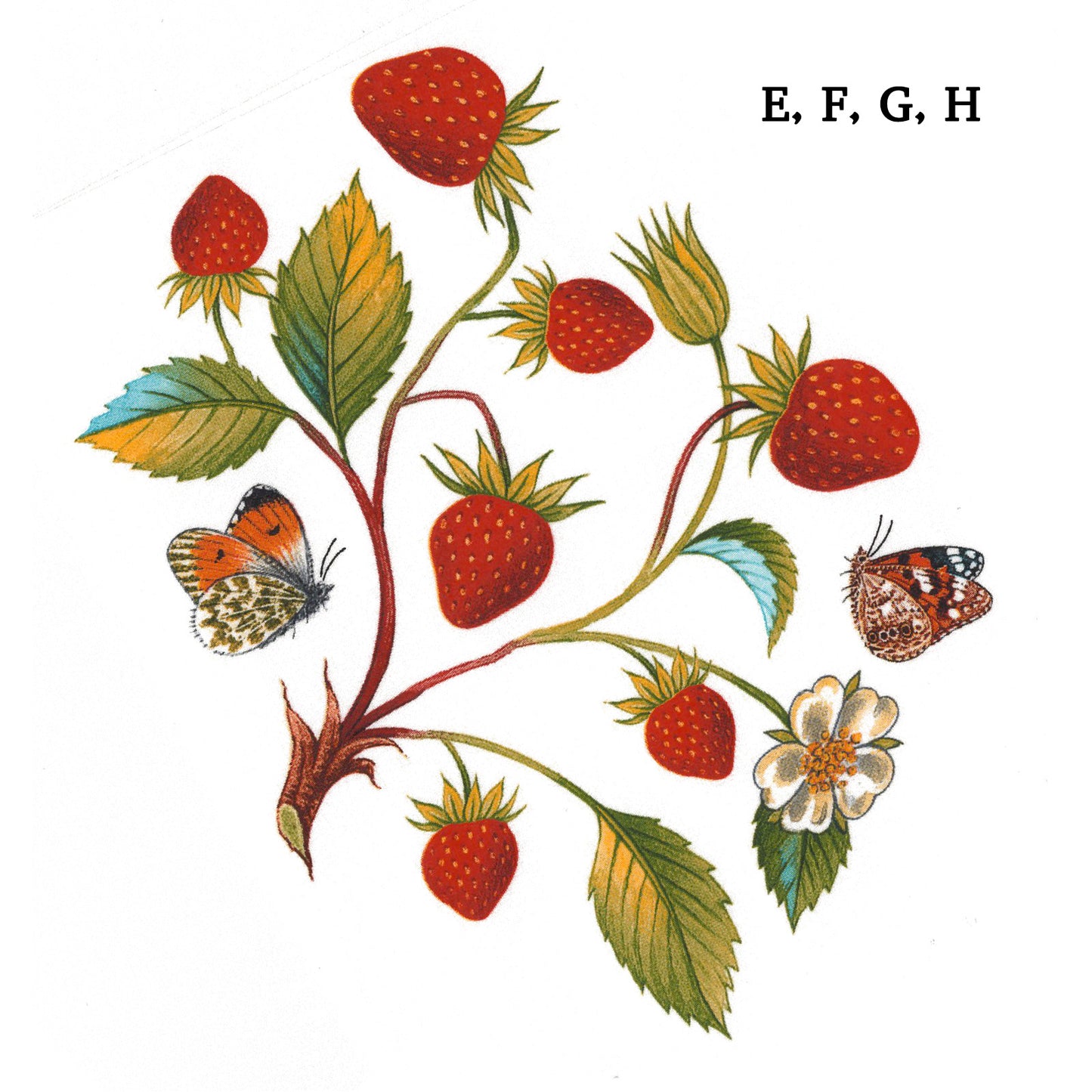 Strawberries and Butterflies Overglaze Waterslide Ceramic Decals