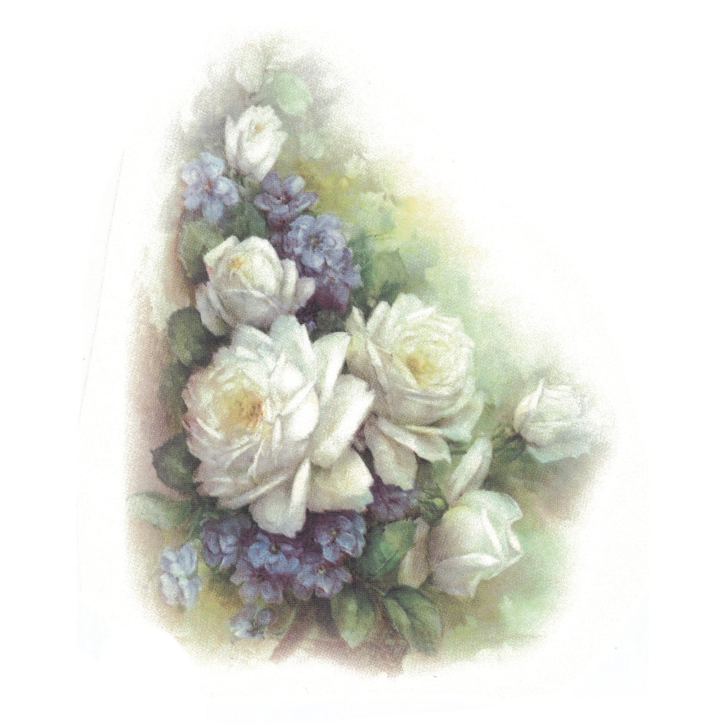 Sussex White Rose Overglaze Waterslide Ceramic Decals