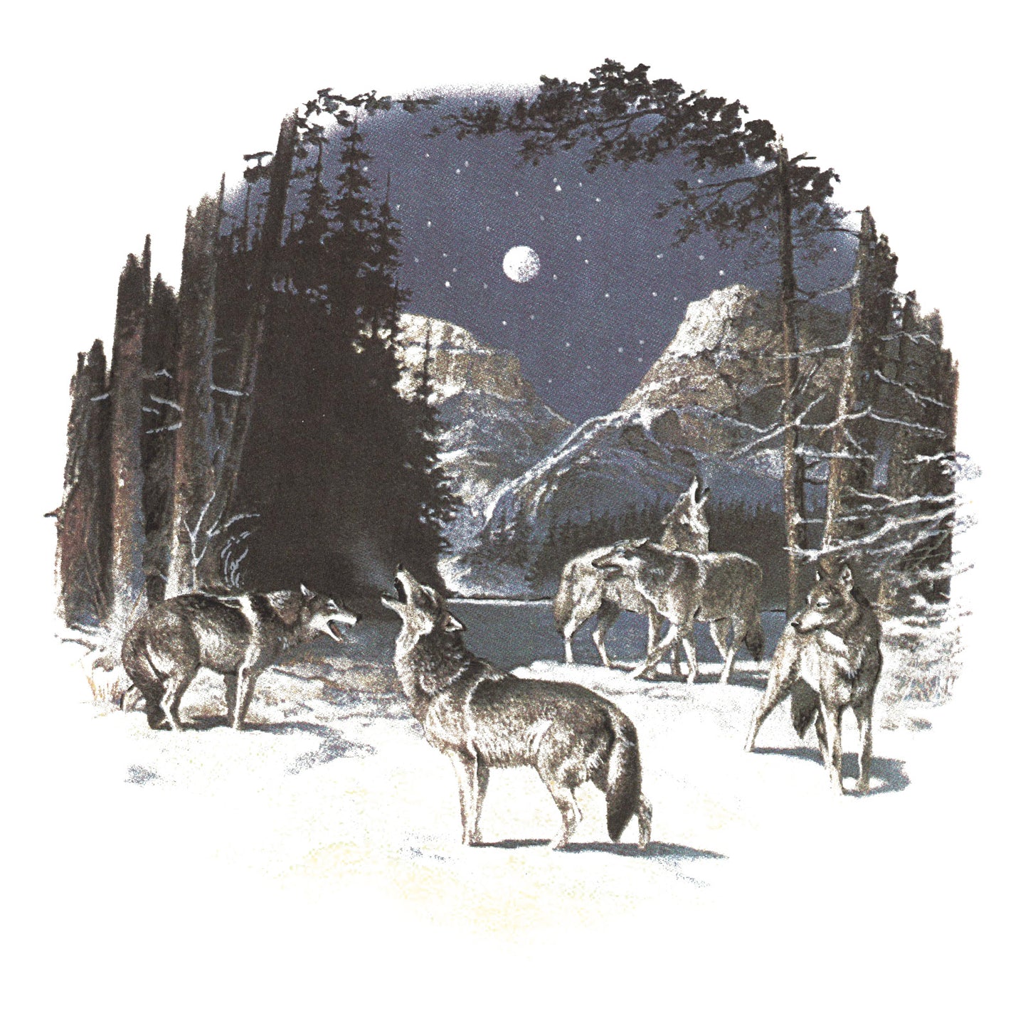 Wild Howling Wolves Overglaze Waterslide Ceramic Decals
