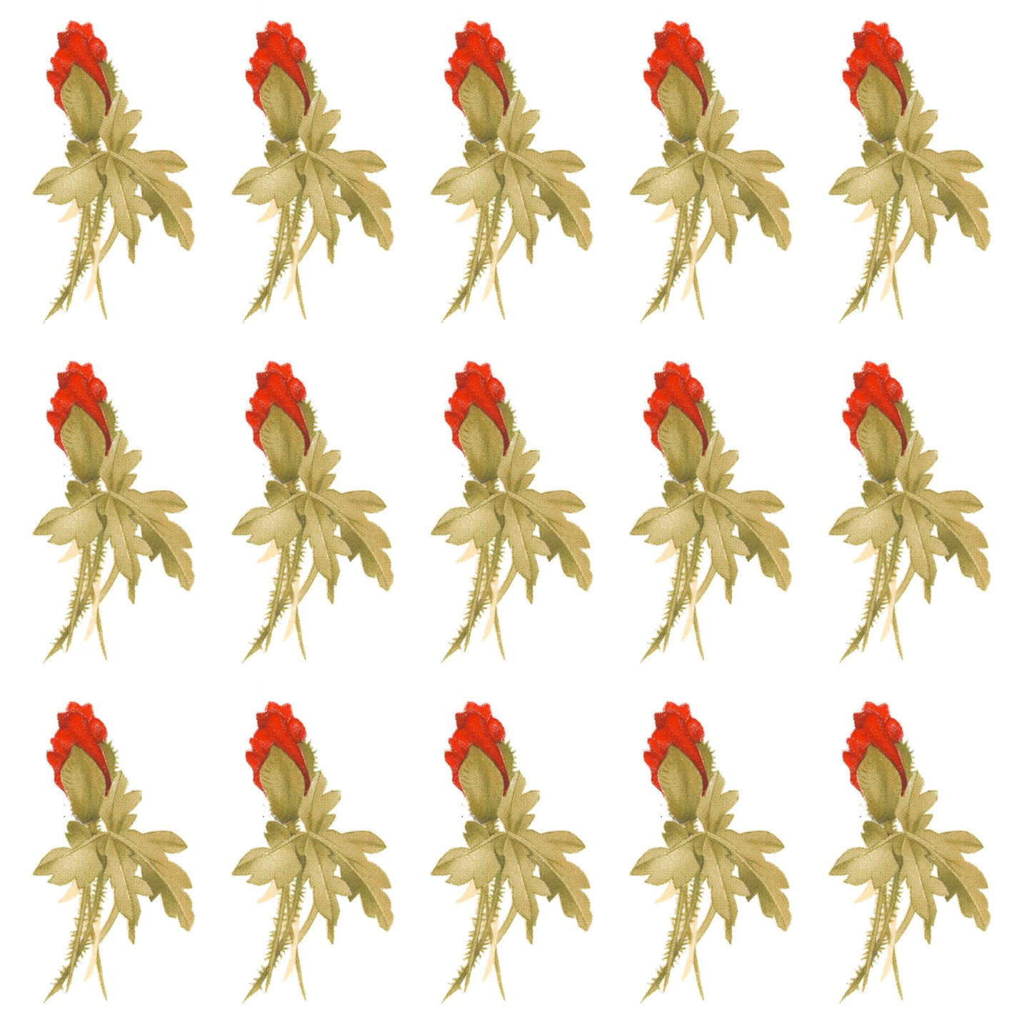 Burnt Orange Poppy Flowers Buds Waterslide Ceramic Decals