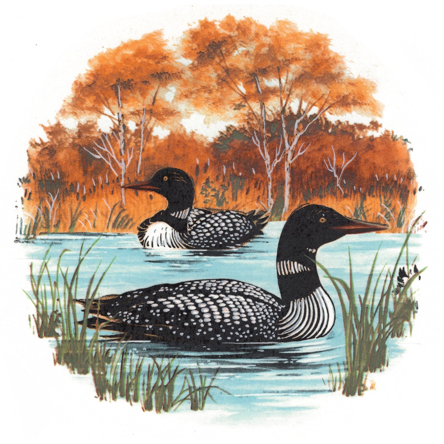 Loons on a Lake in Fall Overglaze Ceramic Decals