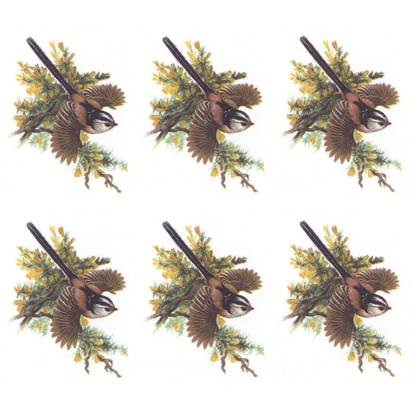 Long Tailed Tits Birds in the Woods Overglaze Ceramic Decals