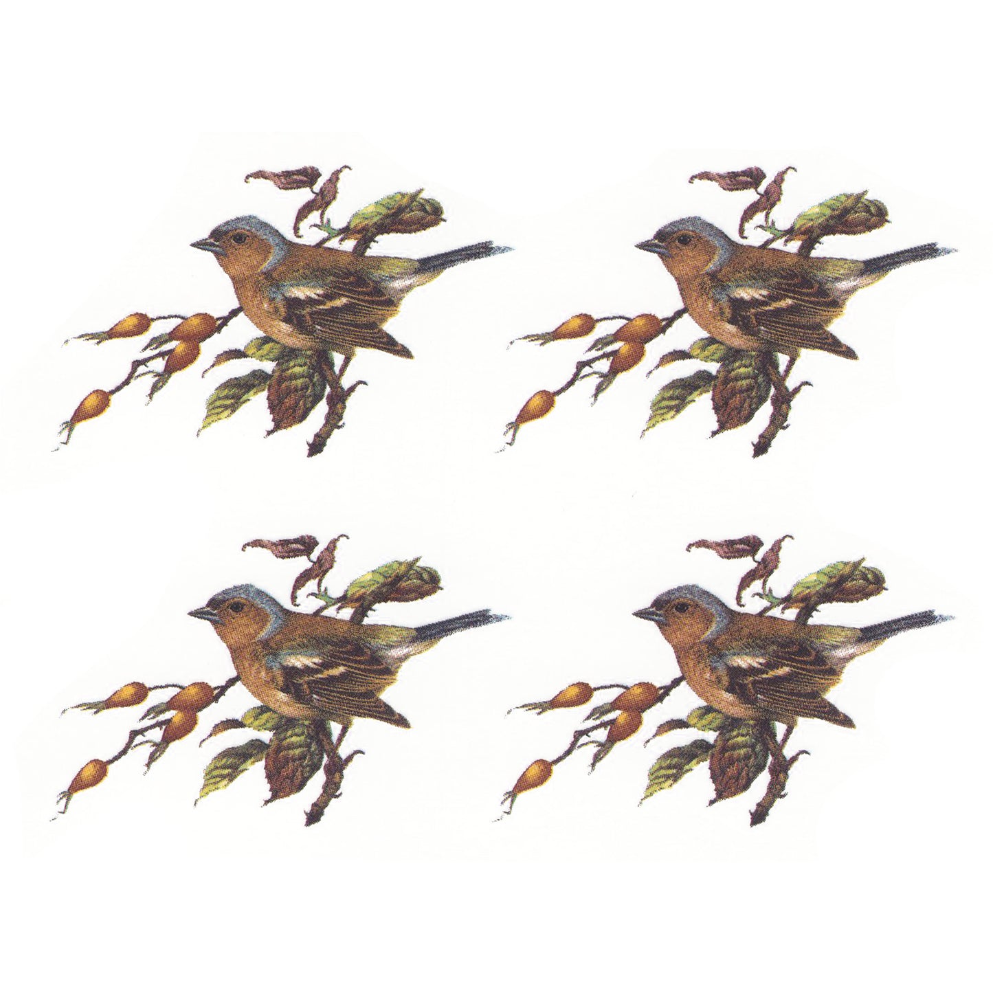Sparrow Birds in the Woods Overglaze Ceramic Decals