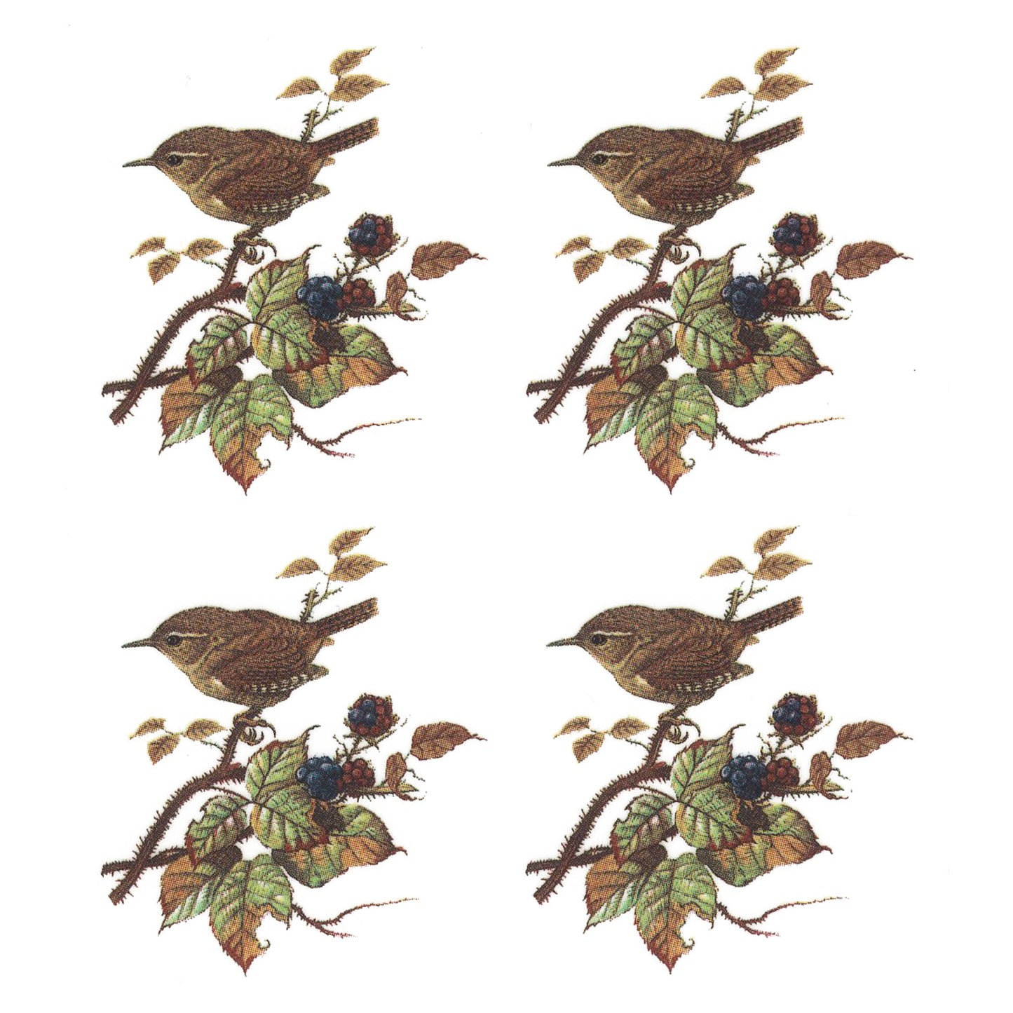 Wren Birds in the Woods Overglaze Ceramic Decals