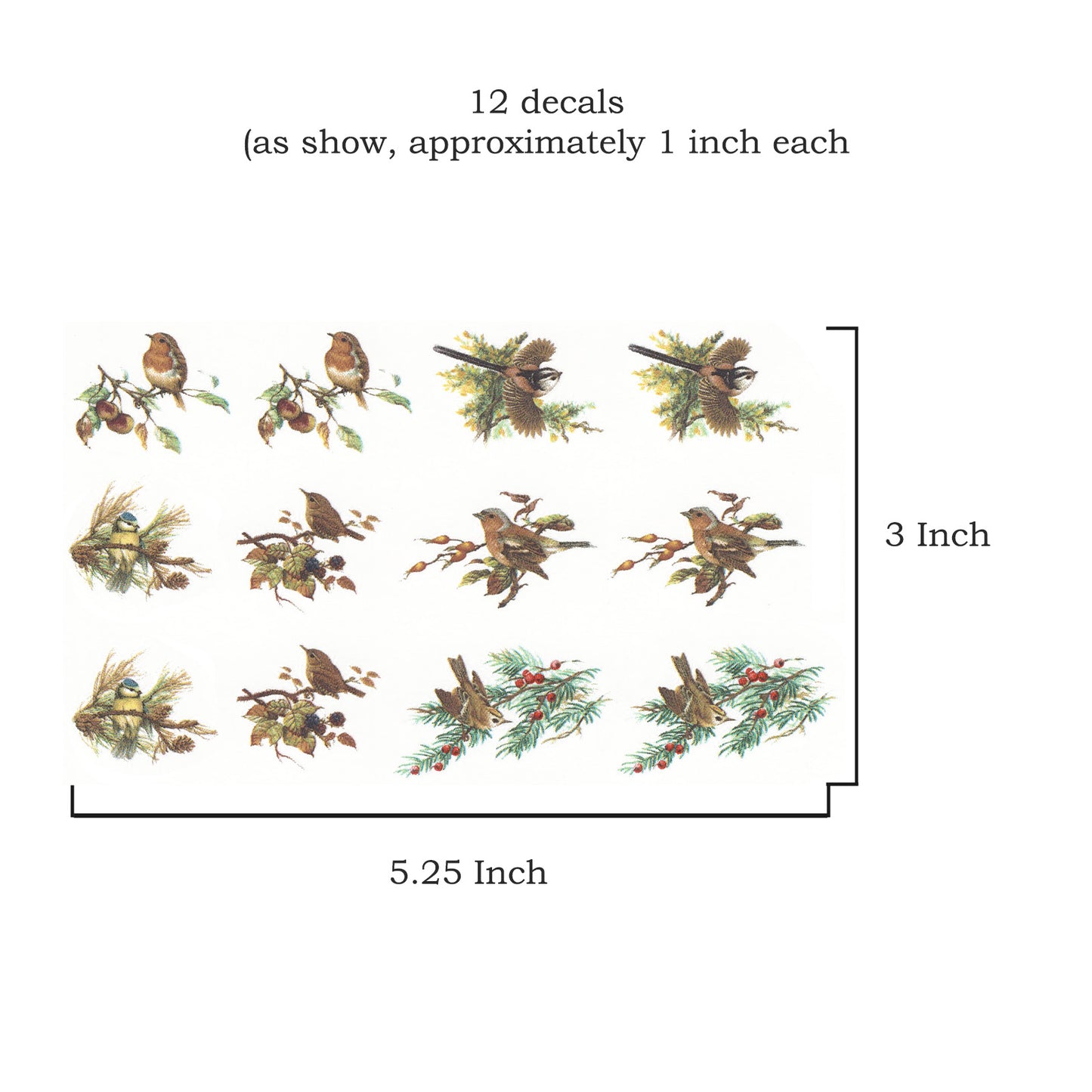 Various Birds in the Woods Overglaze Ceramic Decals