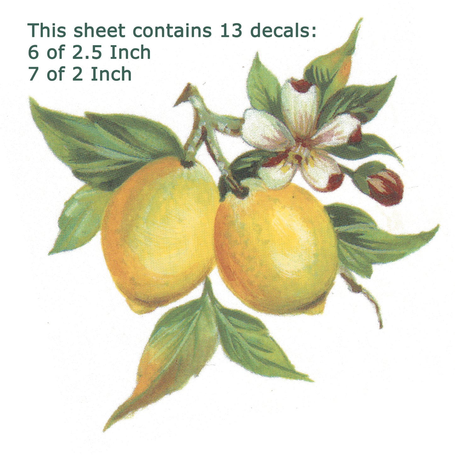 Lemons on the Branch Style E Overglaze Waterslide Ceramic Decal