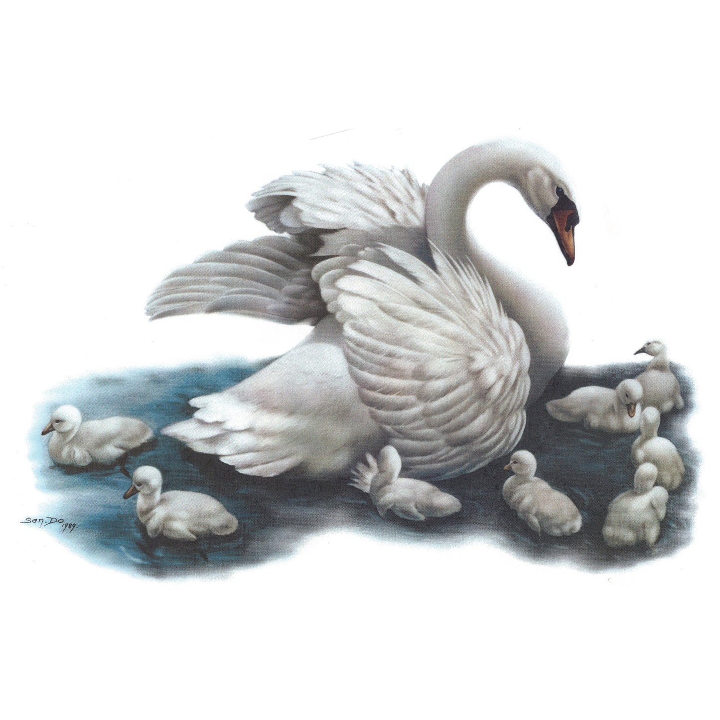 Swan and Sygnets Overglaze Waterslide Ceramic Decal