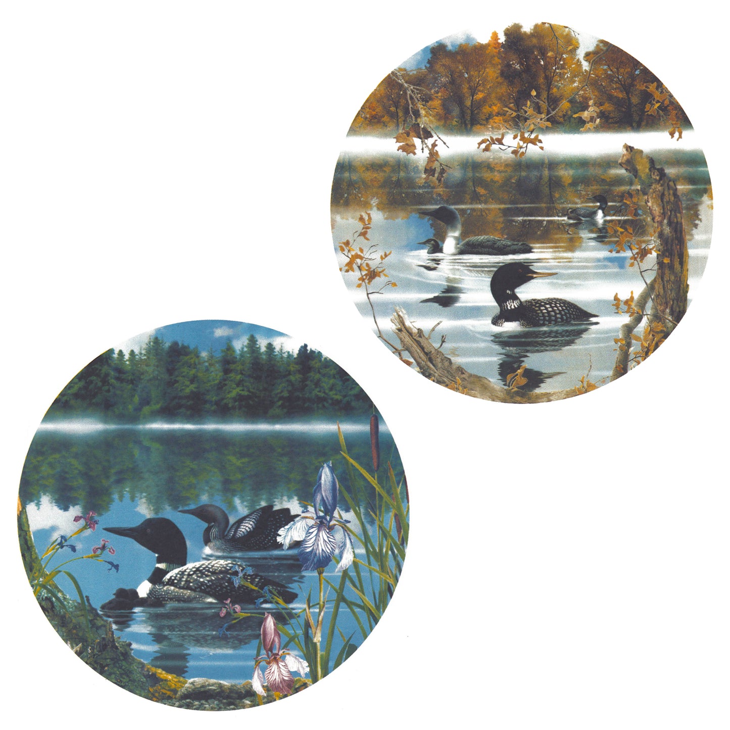 Loons on a Lake in Summer Overglaze Ceramic Decals