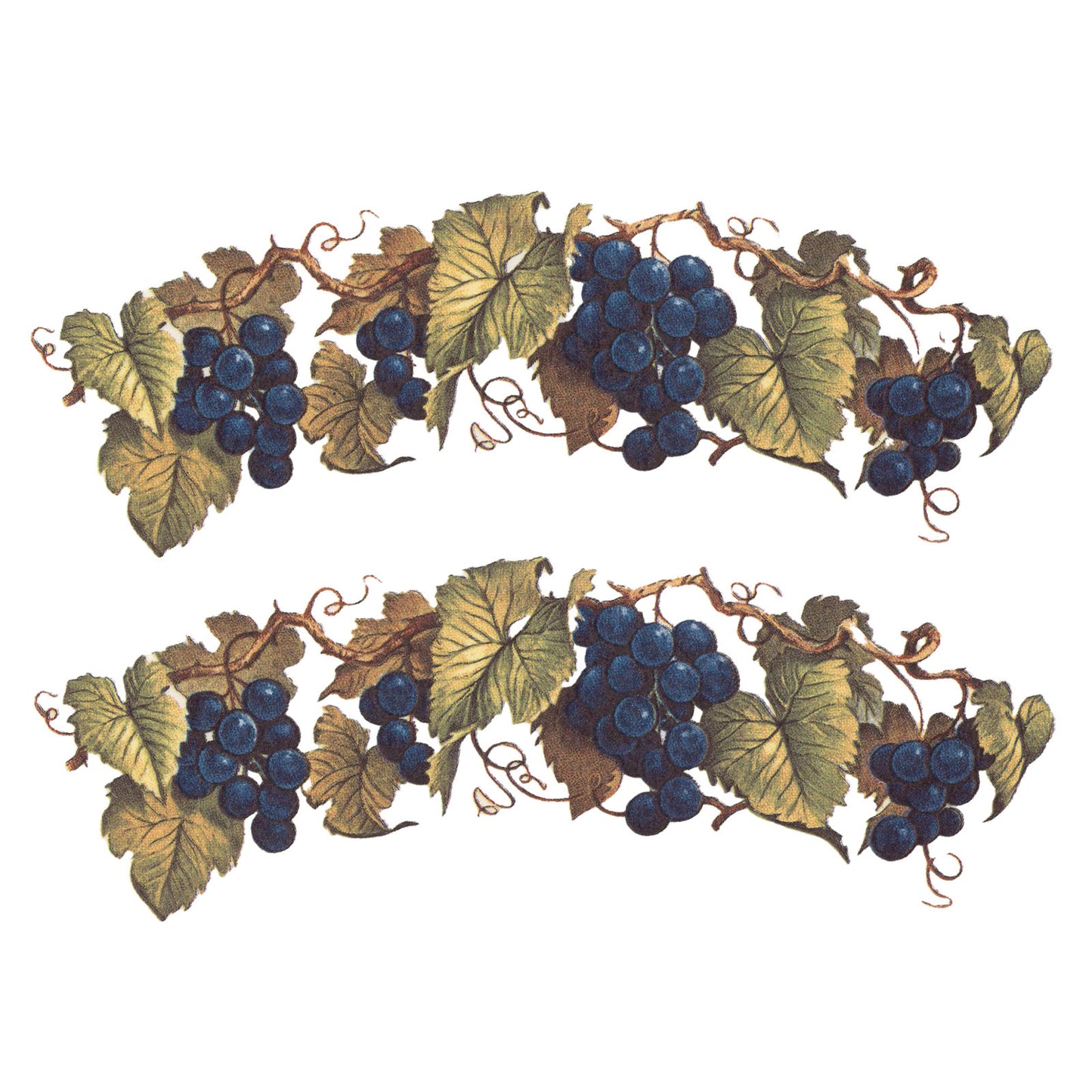 Deep Purple Grape Bunch and Borders Overglaze Waterslide Ceramic Decals