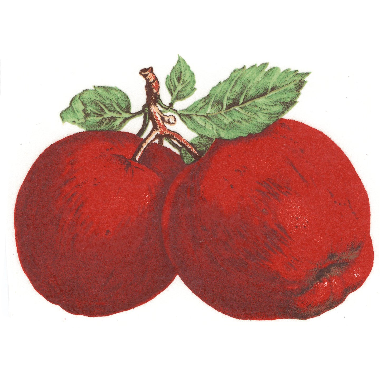 Pair of Red Apples Overglaze Ceramic Decals