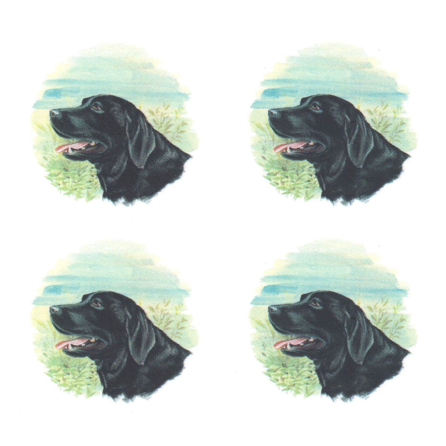Black Labrador Overglaze Ceramic Decals