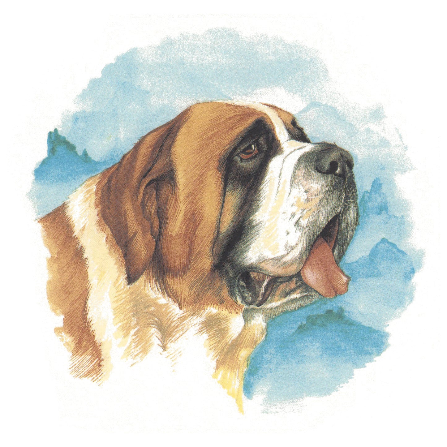 Saint Bernard Overglaze Waterslide Ceramic Decals