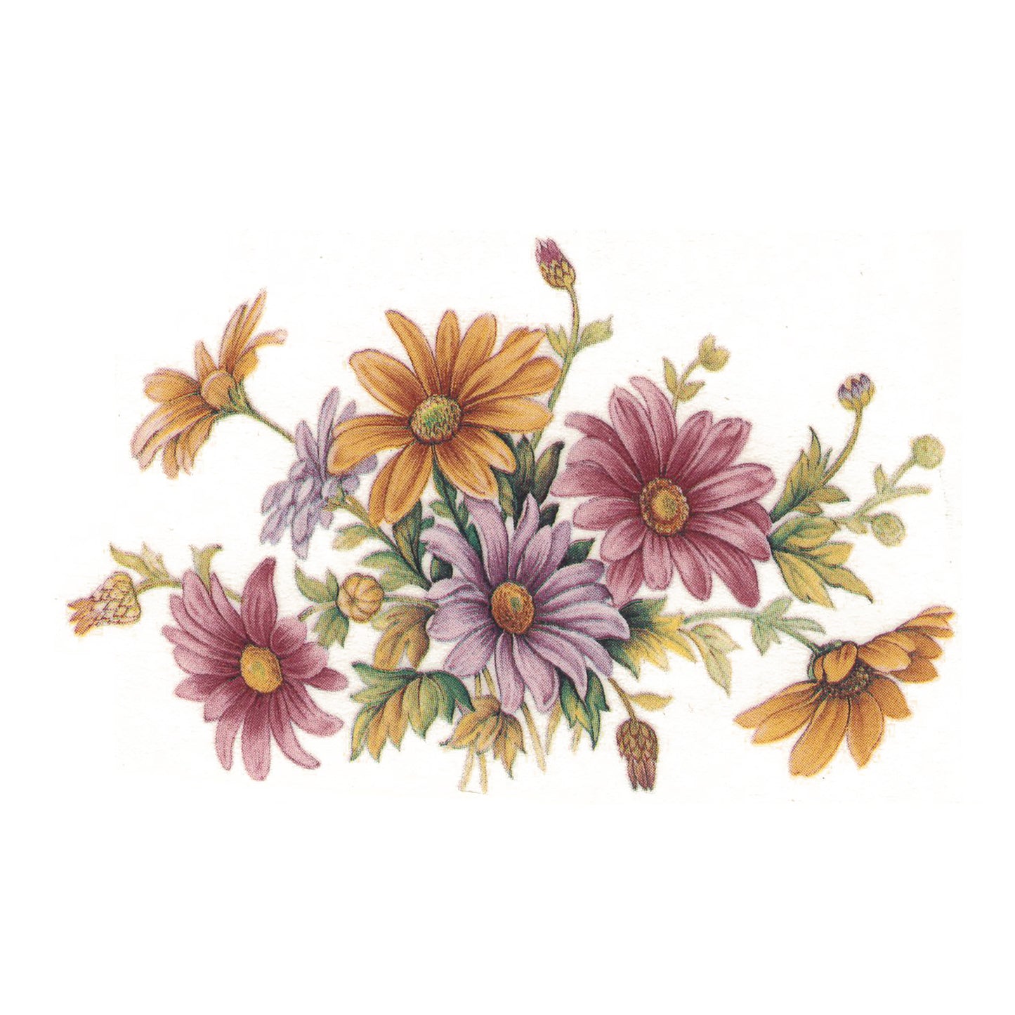 Chrysanthemum Style B Overglaze Ceramic Decals
