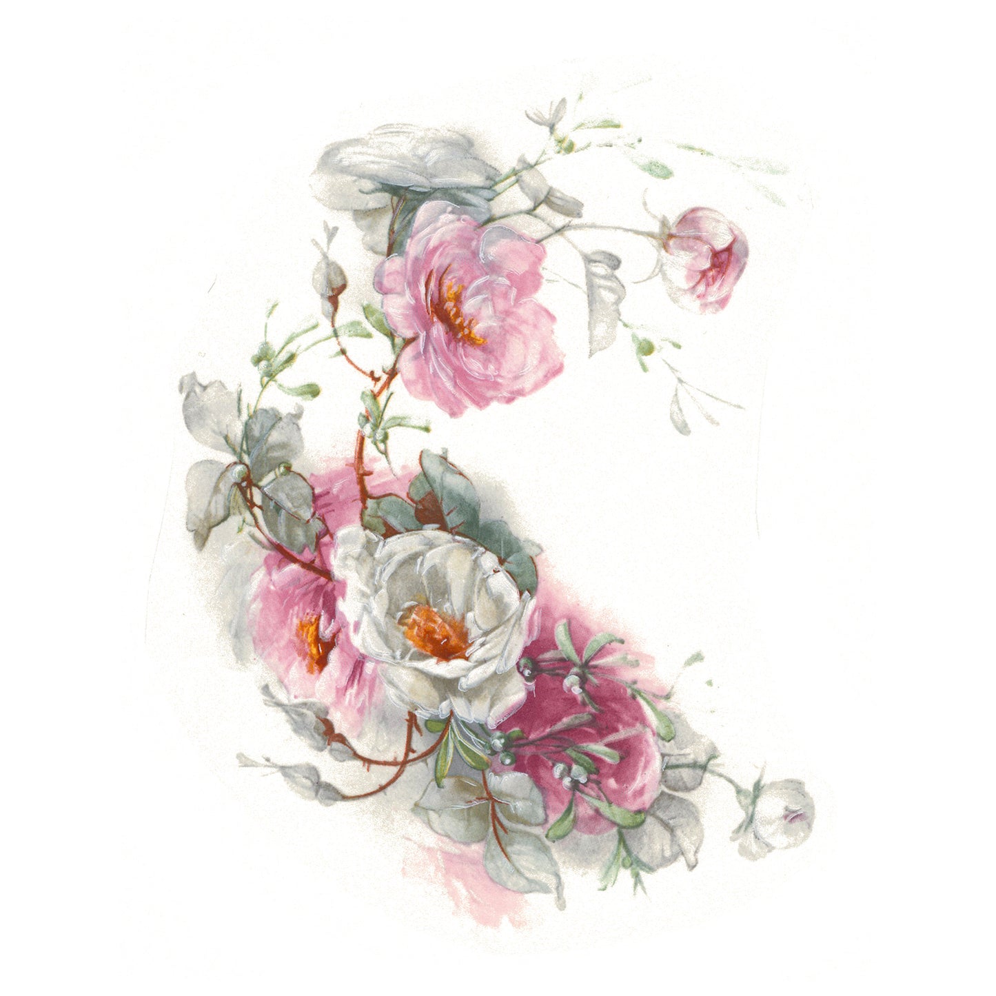 Pink and White Wild Roses Overglaze Ceramic Decals