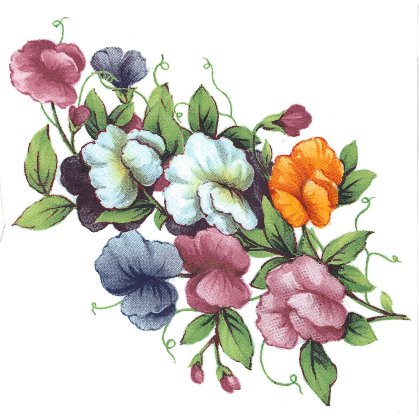 Sweet Pea Flowers Spray Overglaze Ceramic Decals