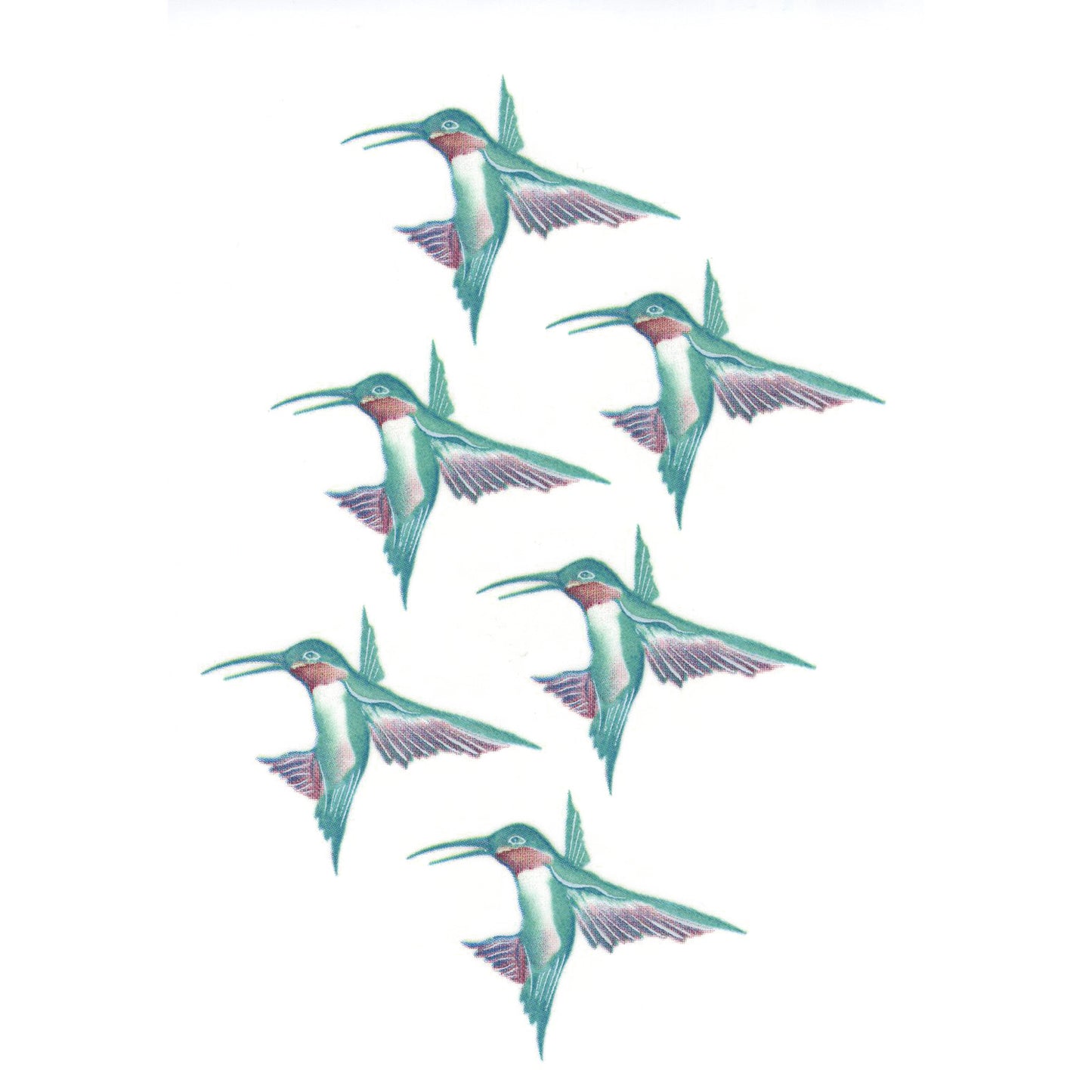 Tropicana Hummingbird 6 pcs Overglaze Waterslide Ceramic Decals