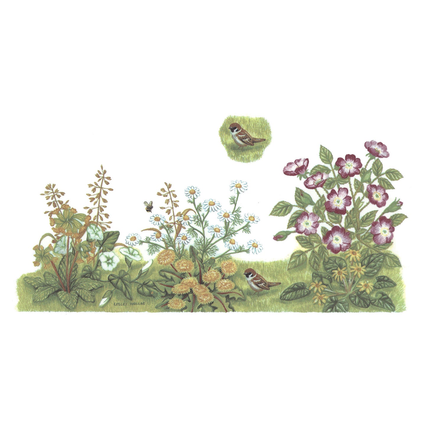 Flower Garden Bird Wraps Overglaze Ceramic Decals