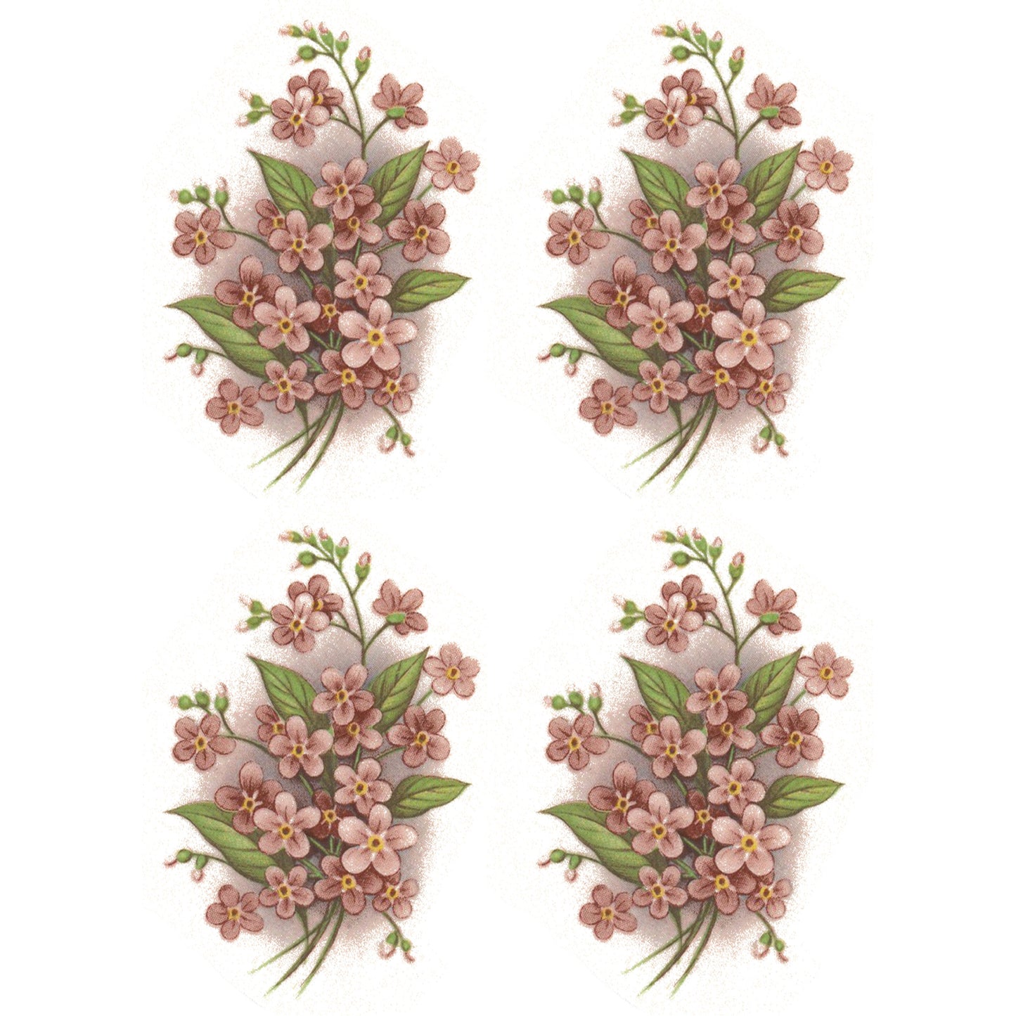 Forget Me Not Peach Pink Flowers Spray Ceramic Waterslide Decals