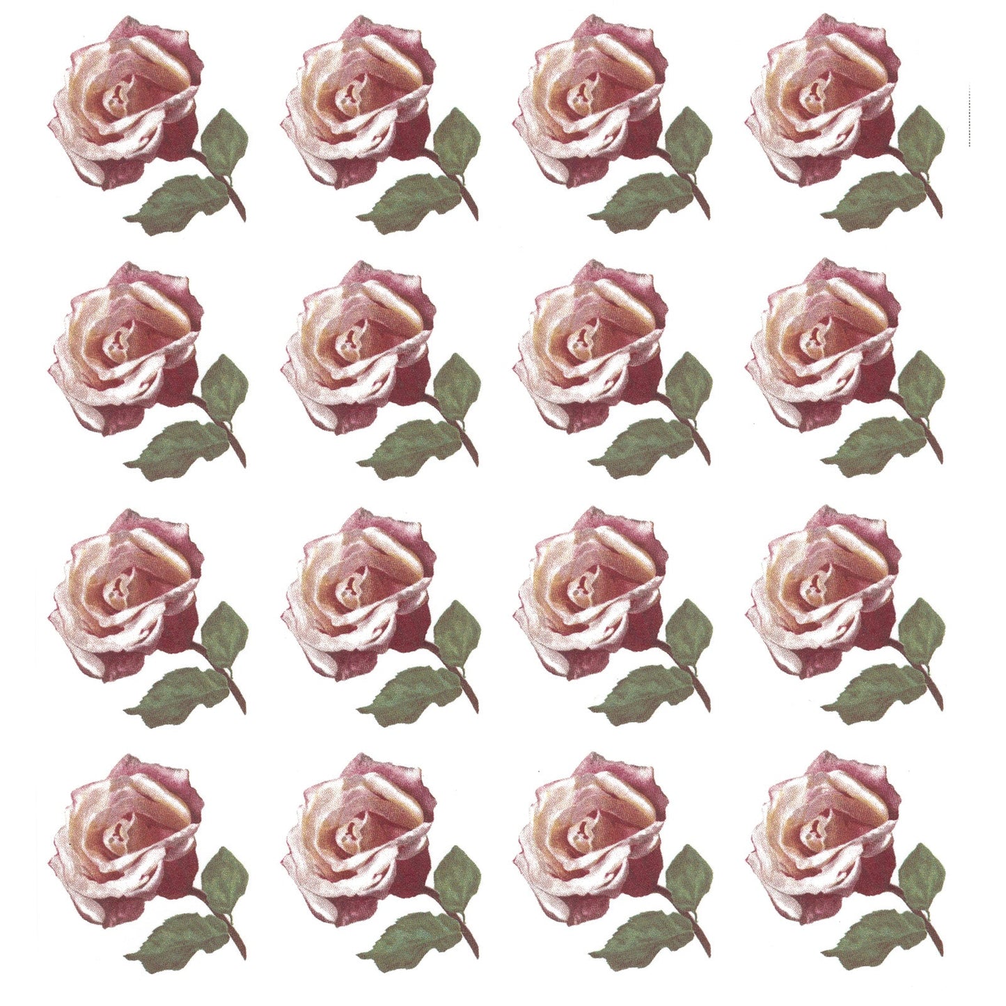 Flowers Pink Rose Singles Overglaze Ceramic Decals
