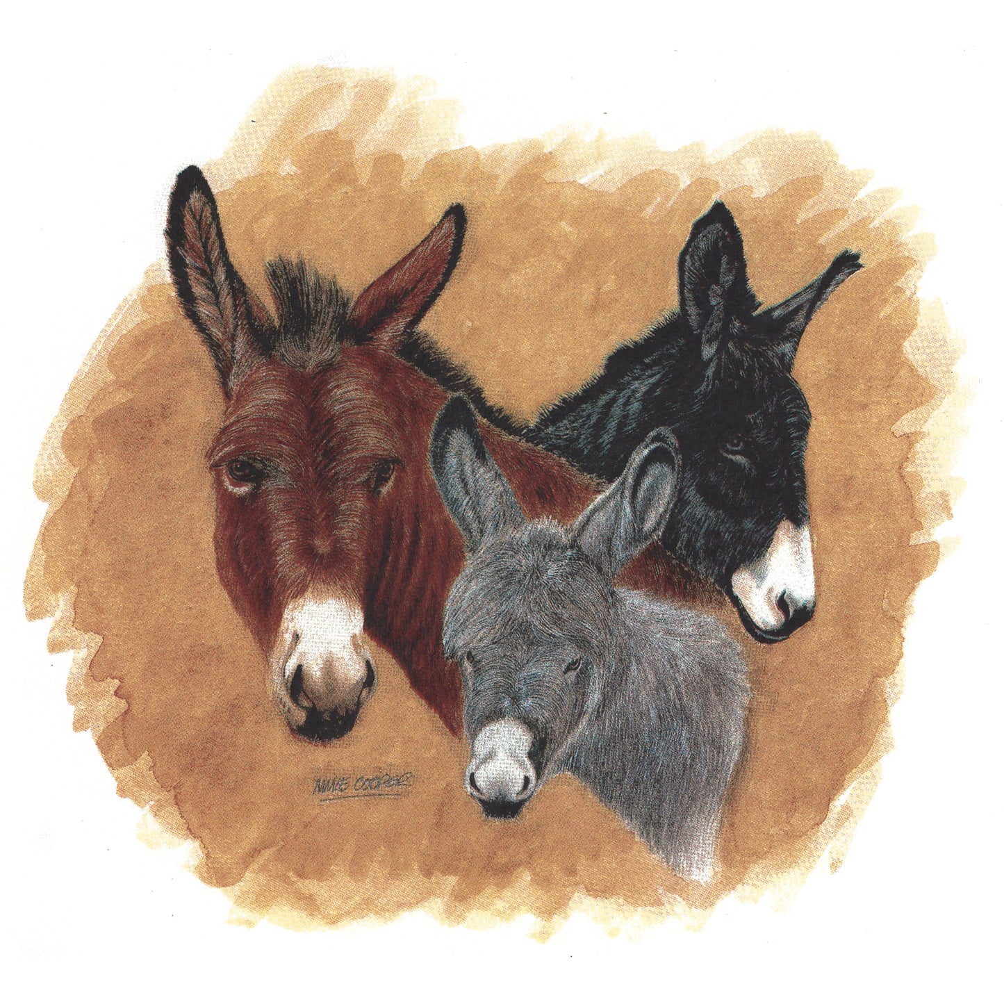 Trio of Donkeys Overglaze Ceramic Decals