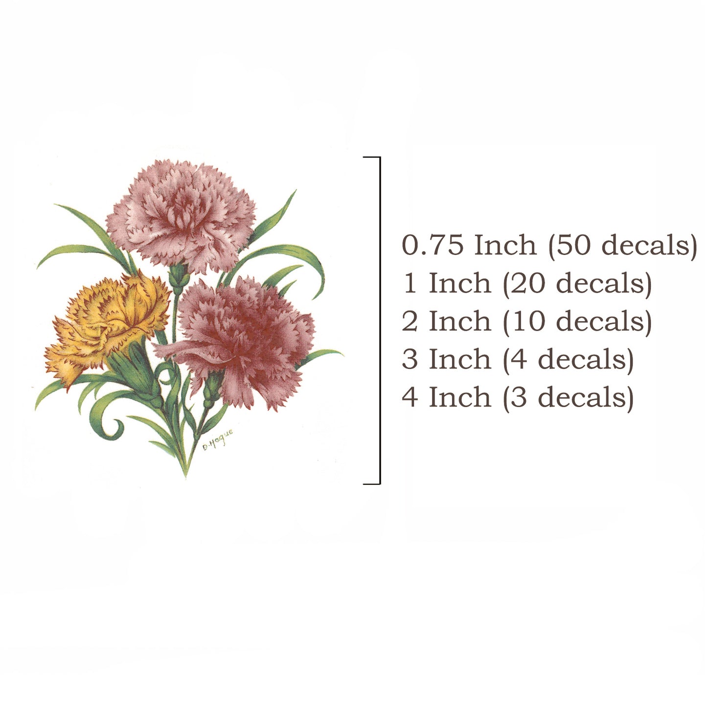 Flower of the Month January Carnation Overglaze Ceramic Waterslide Decals