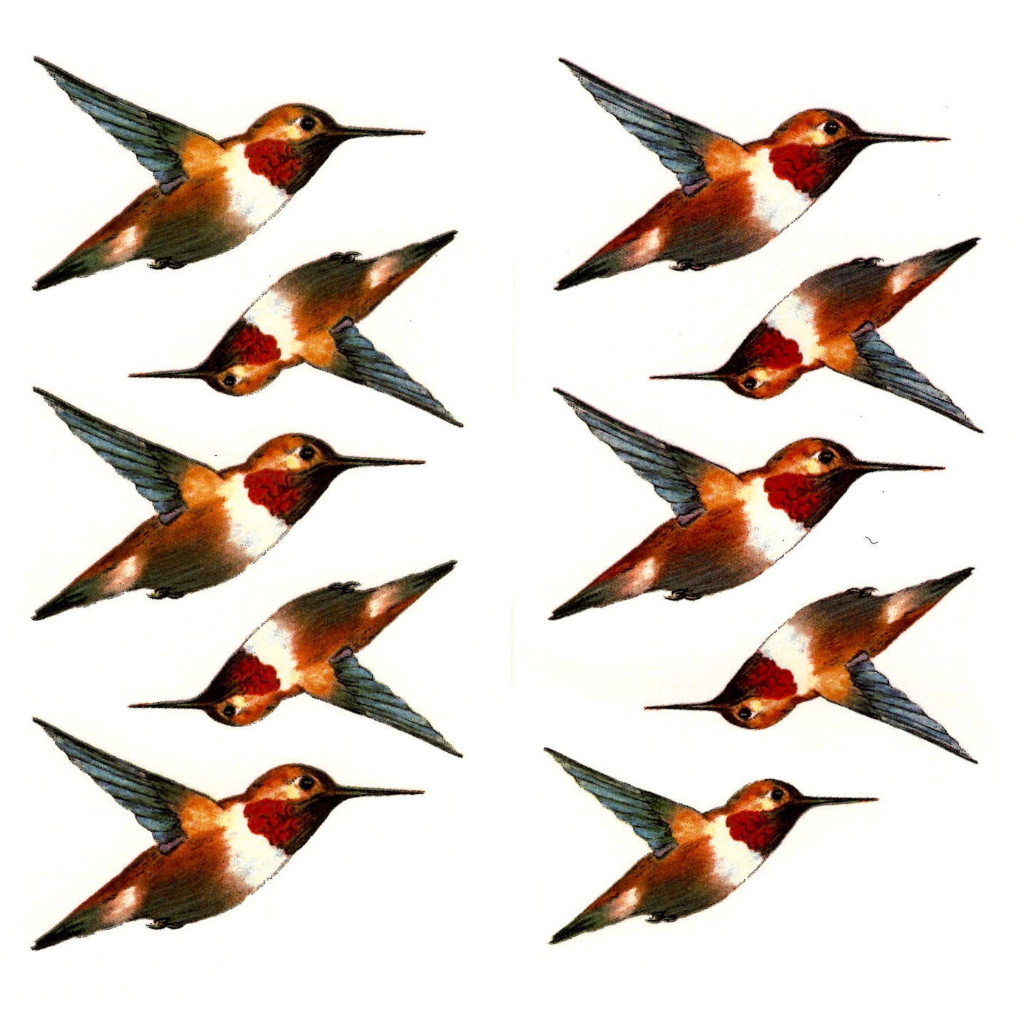 Hummingbird Iris Flower Overglaze Waterslide Ceramic Decals