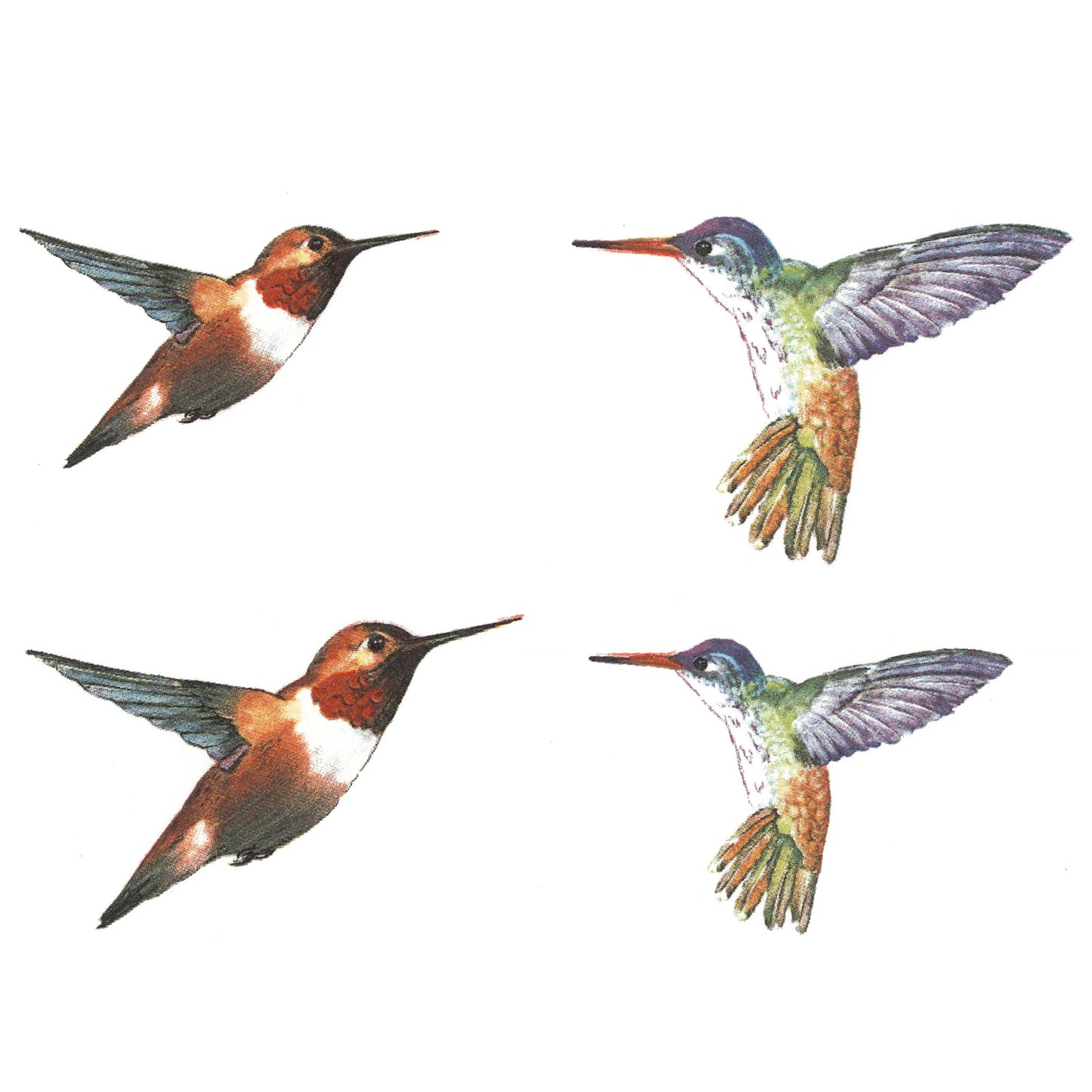 Hummingbird Iris Flower Overglaze Waterslide Ceramic Decals