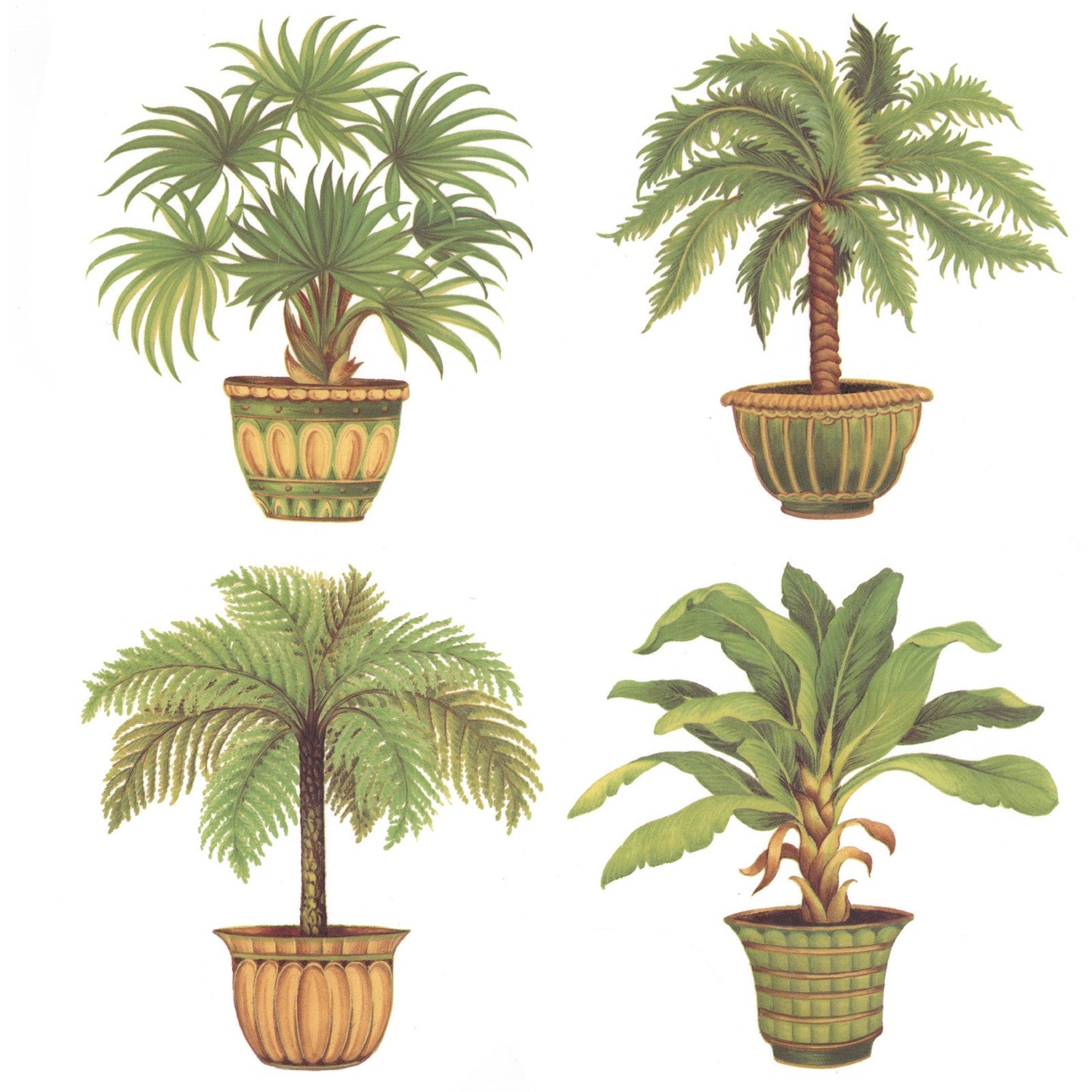 Potted Palm Tree Plants Overglaze Waterslide Ceramic Decals