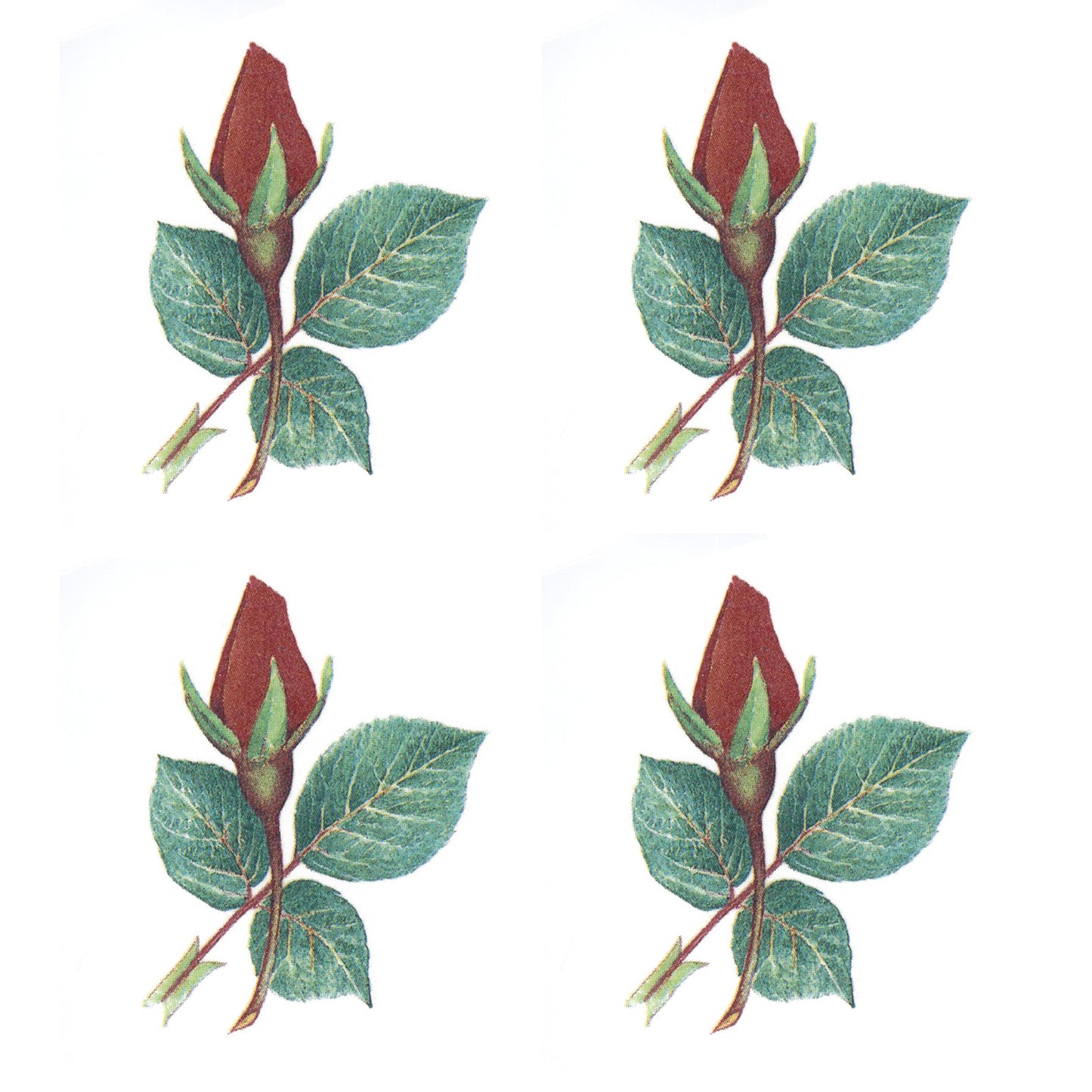 Rose Buds Flowers Overglaze Ceramic Decals