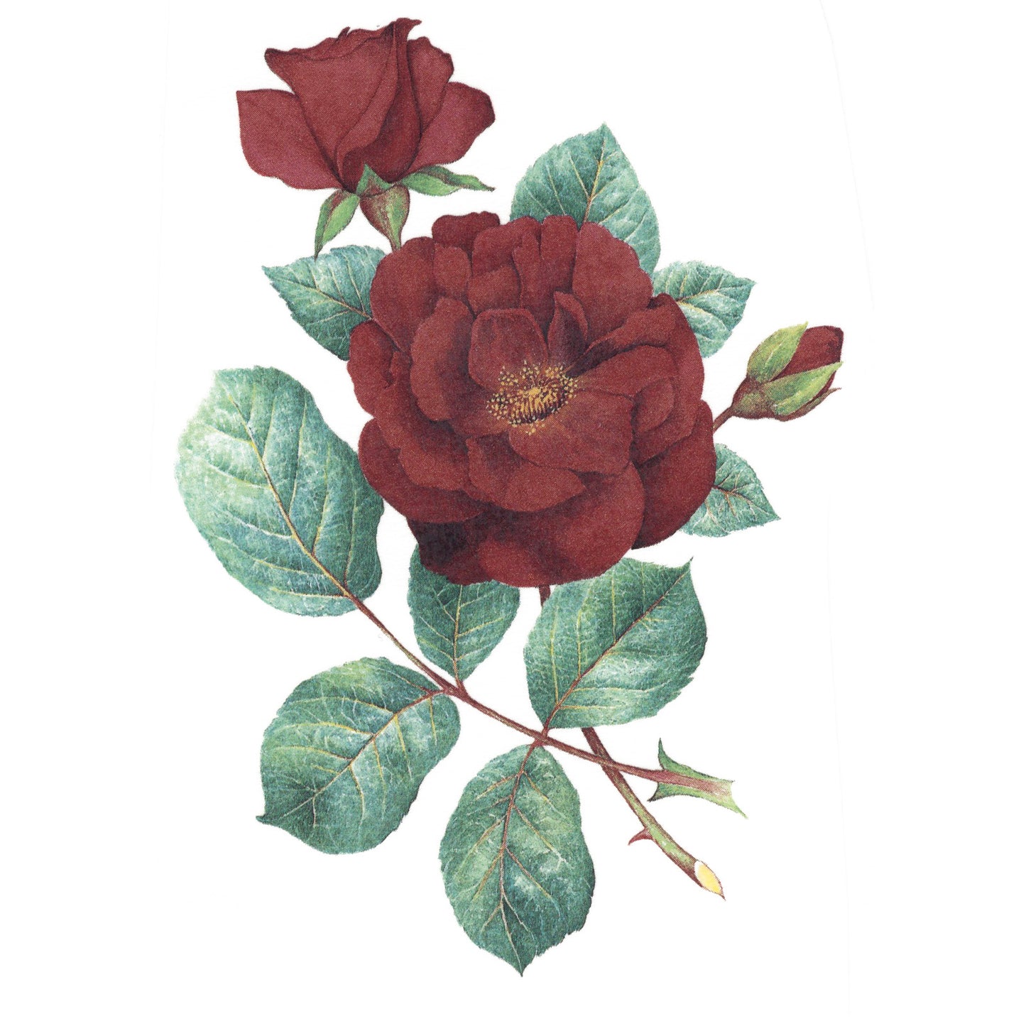 Roses Flowers Overglaze Ceramic Decals