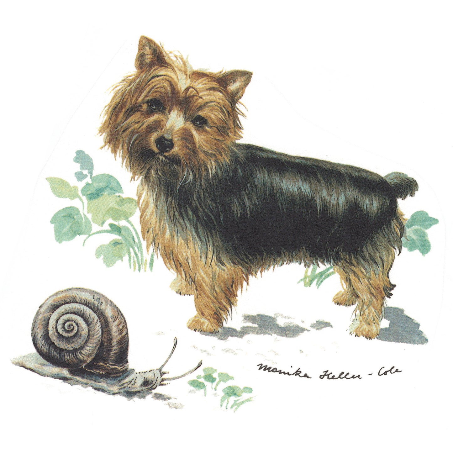 Puppy and Snail Overglaze Waterslide Ceramic Decal