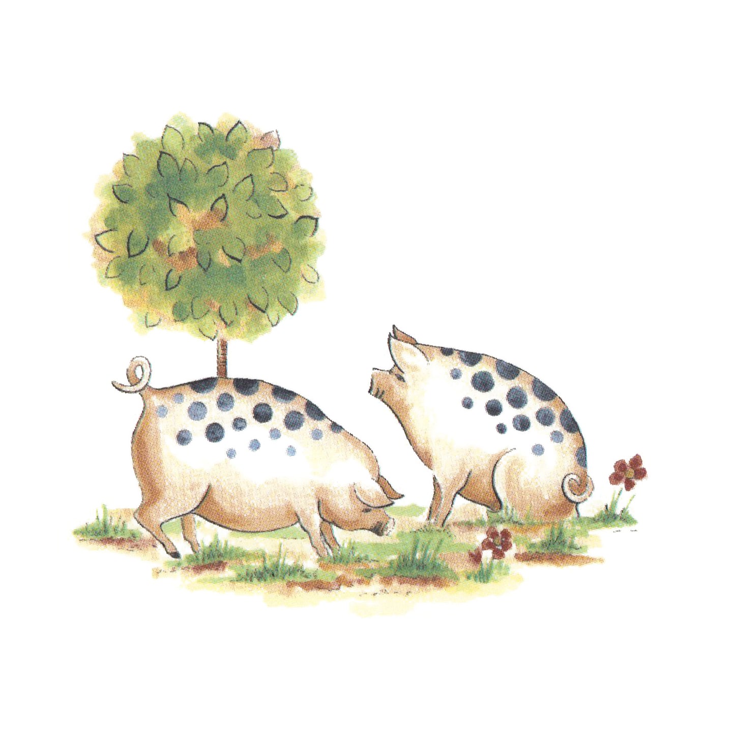 Spotted Pigs Overglaze Ceramic Decals
