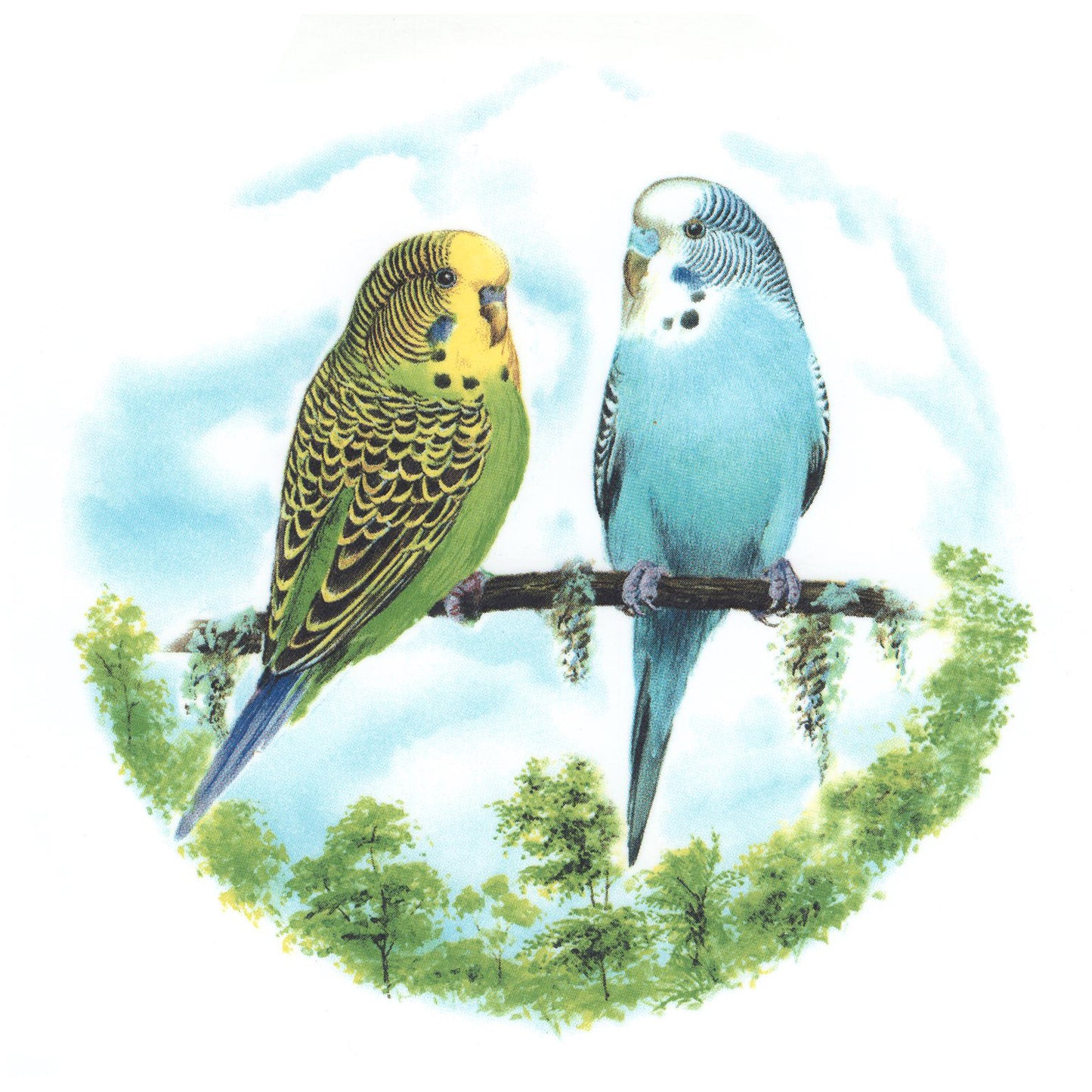 Green Blue Budgies Parakeets Overglaze Ceramic Decals