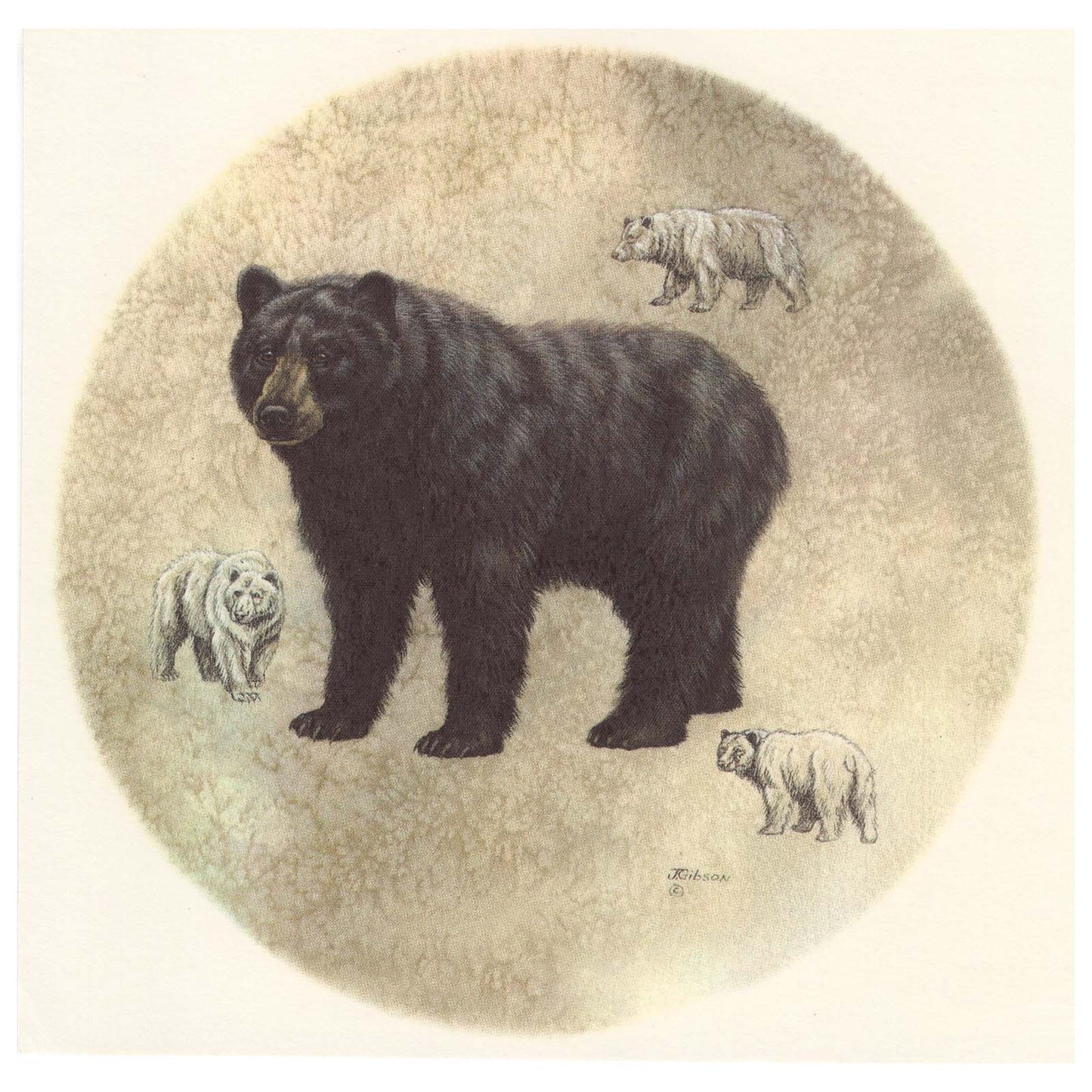 Black Bear Animal Overglaze Waterslide Ceramic Decals