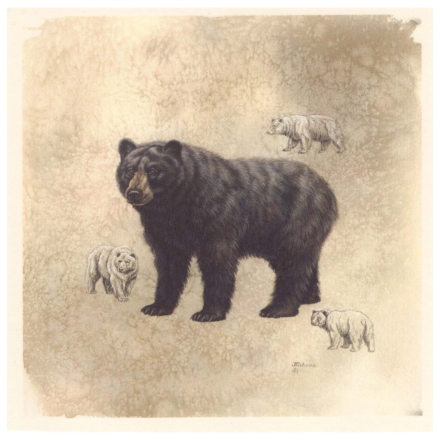 Black Bear Animal Tile Overglaze Waterslide Ceramic Decals