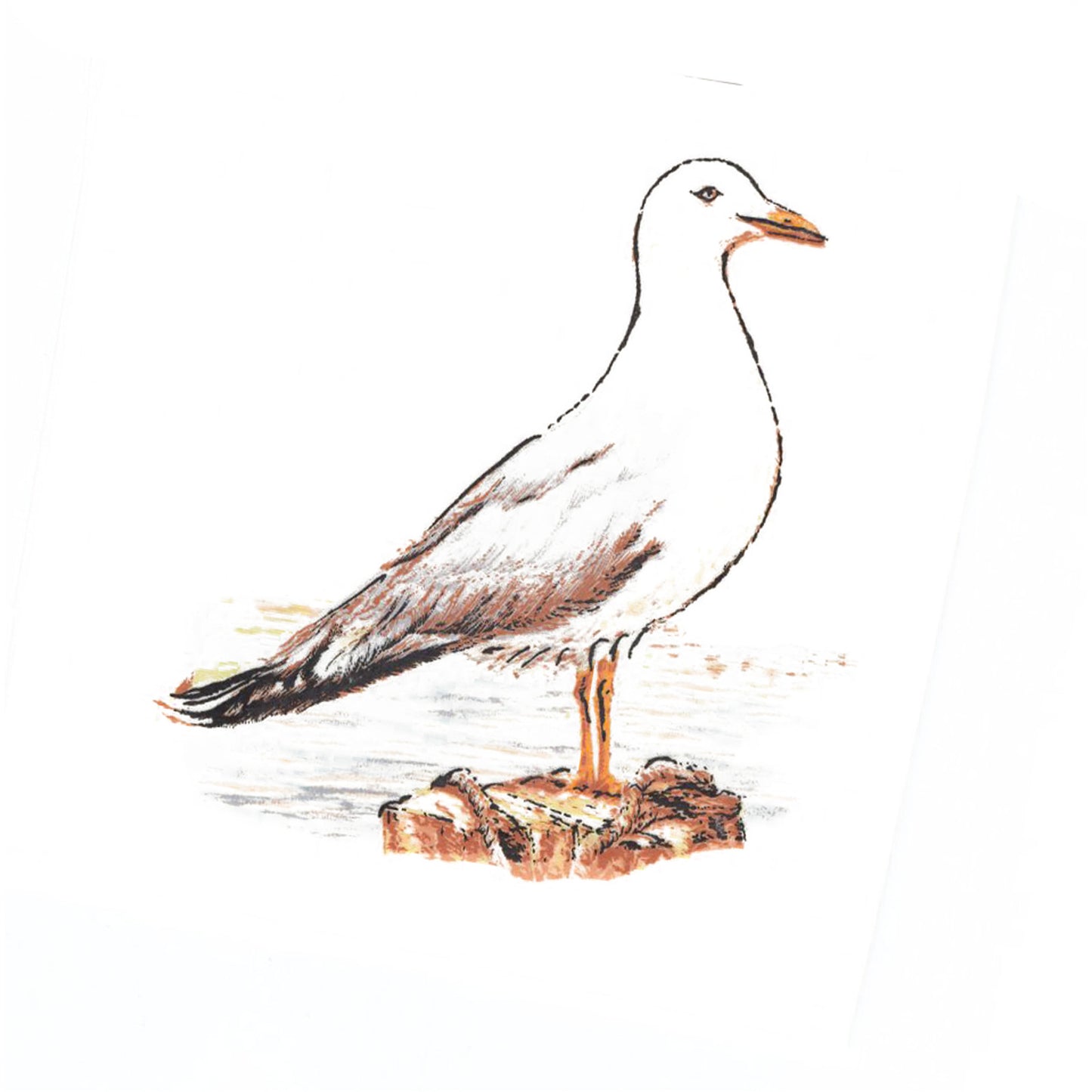 Seagull Overglaze Ceramic Decals
