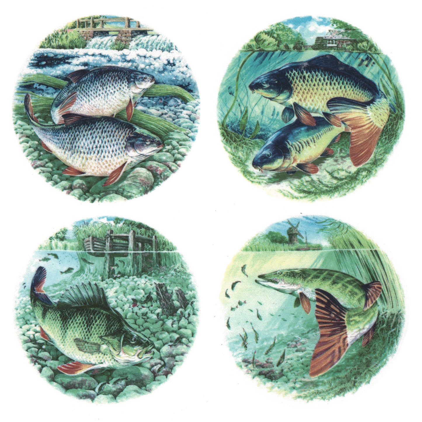 Ocean Fish Set of 4 Overglaze Waterslide Ceramic Decals