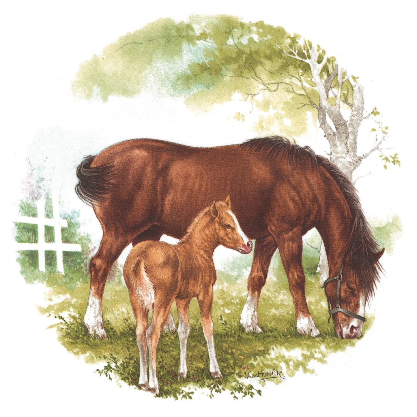 Horse Colt 4 pc Set Overglaze Waterslide Ceramic Decals
