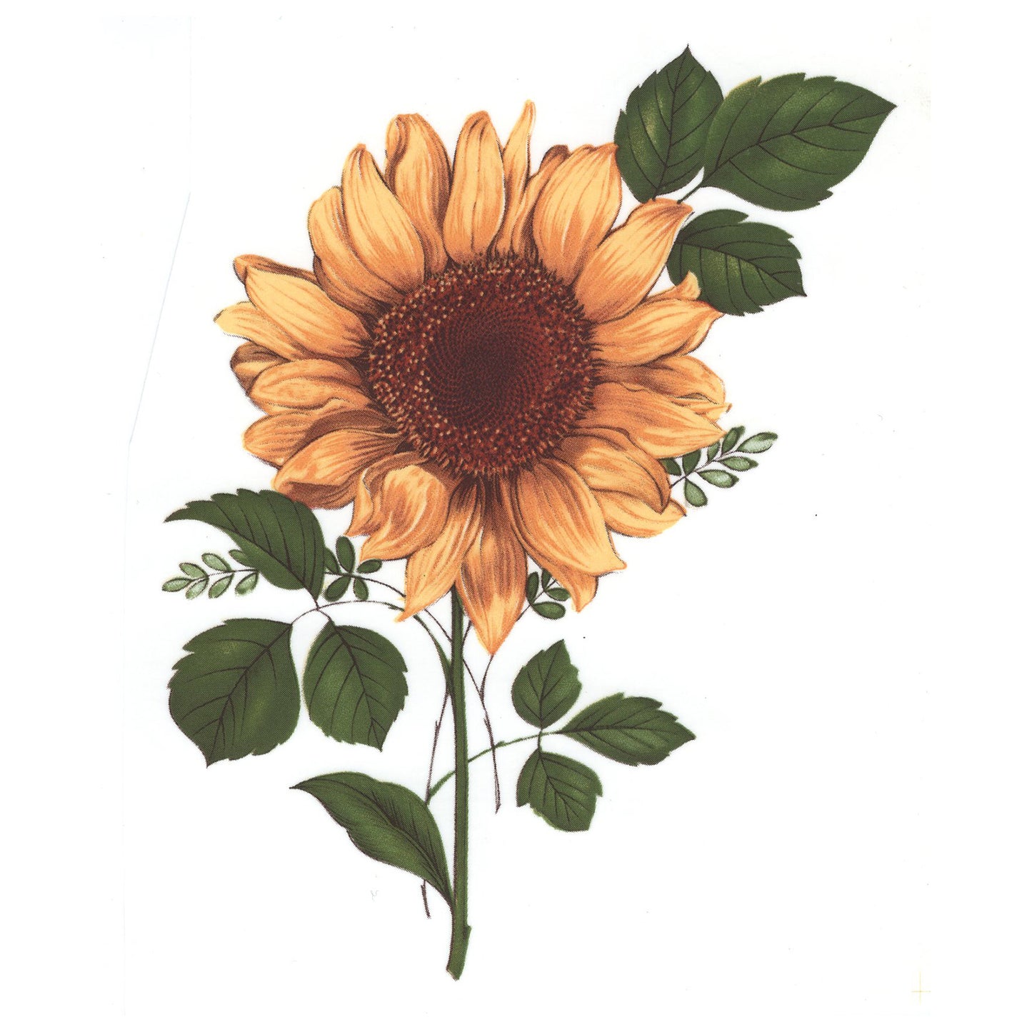 Sunflower Overglaze Ceramic Decals