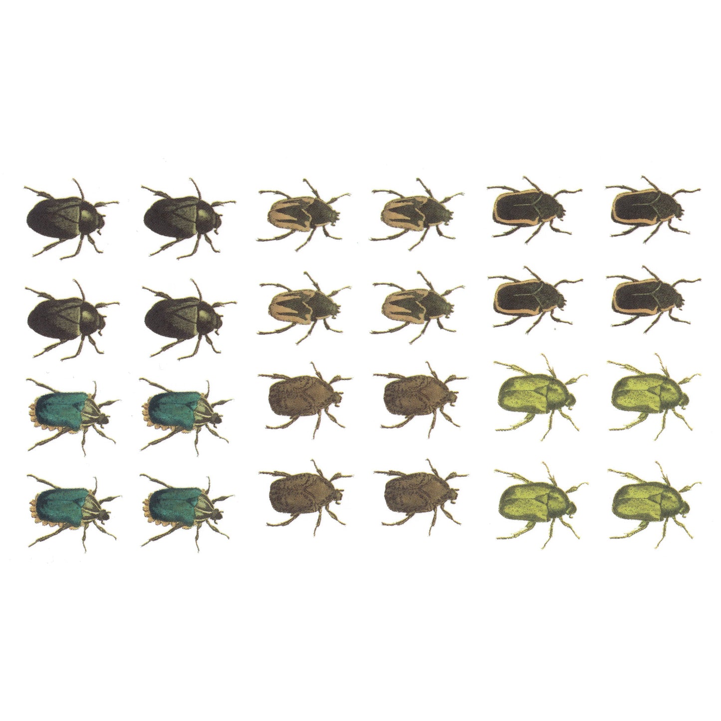 Beetles 1 Inch 24 pcs Overglaze Waterslide Ceramic Decals