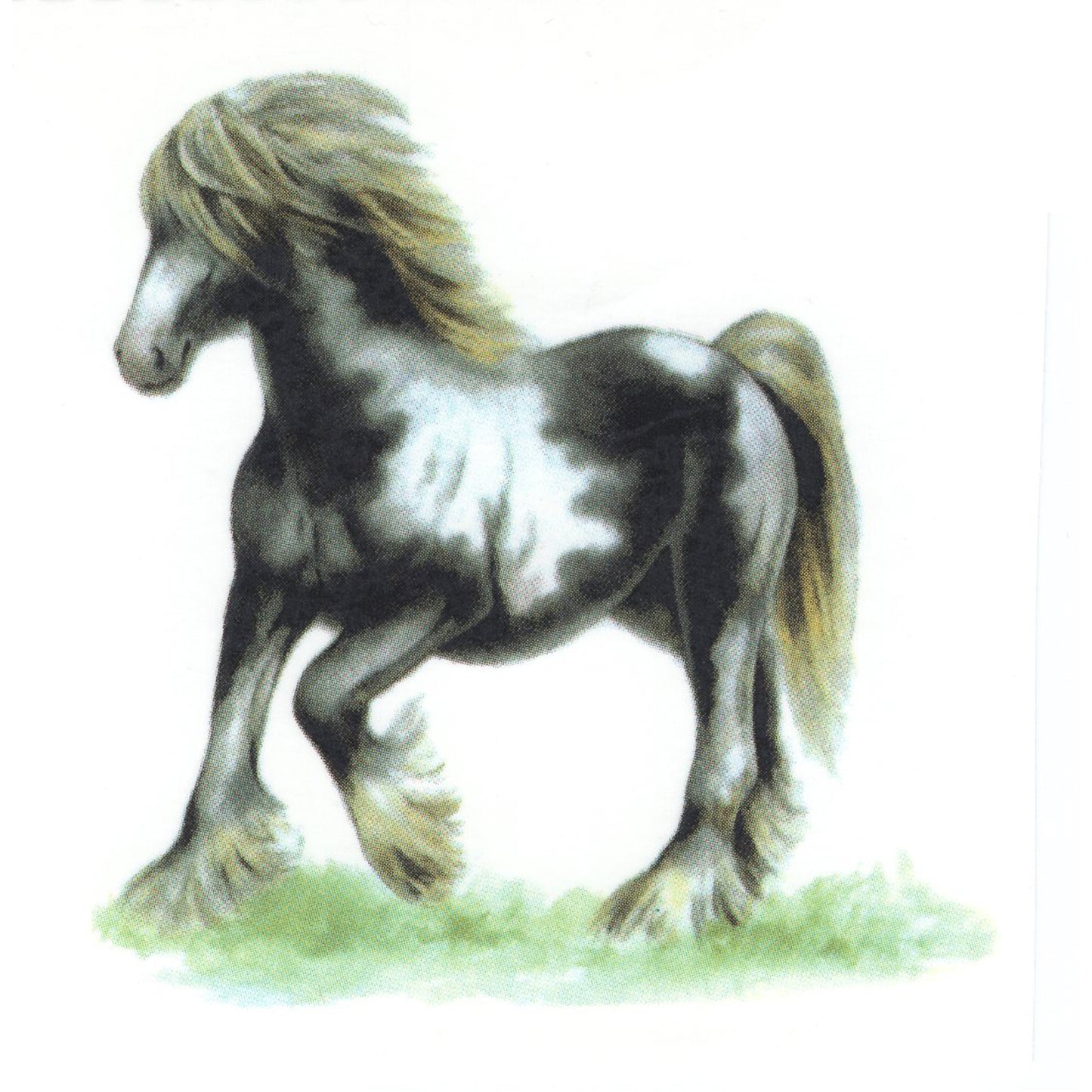 Irish Cob Horse Overglaze Ceramic Decals