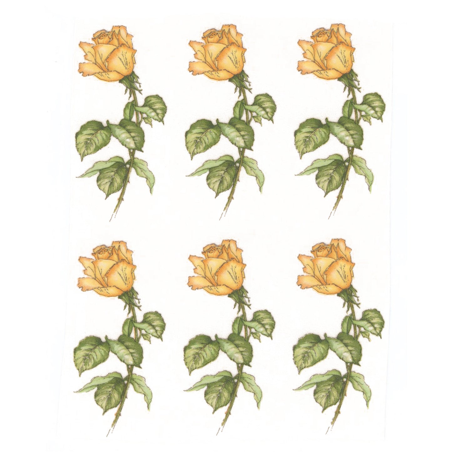 Yellow Roses Overglaze Ceramic Decals