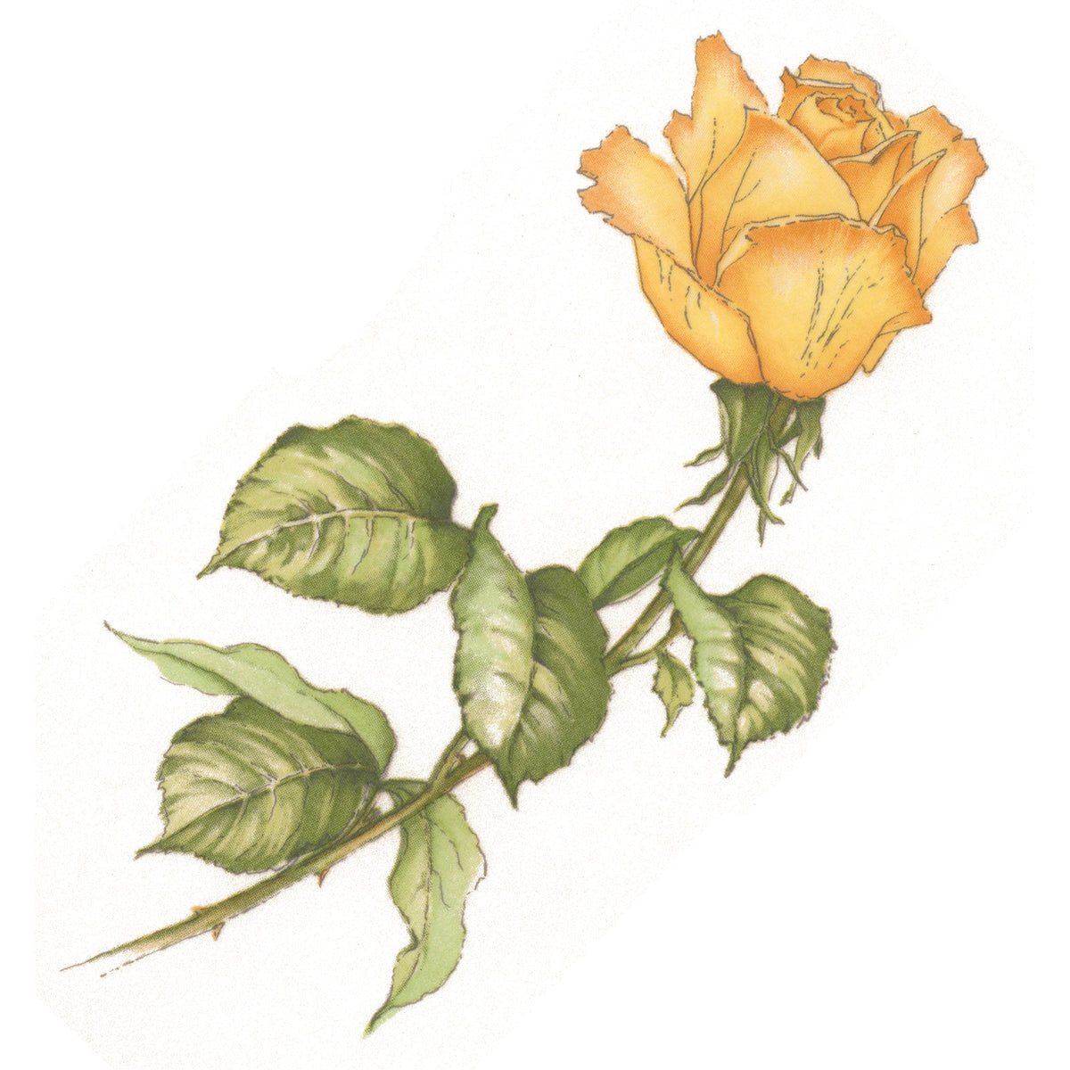 Yellow Roses Overglaze Ceramic Decals
