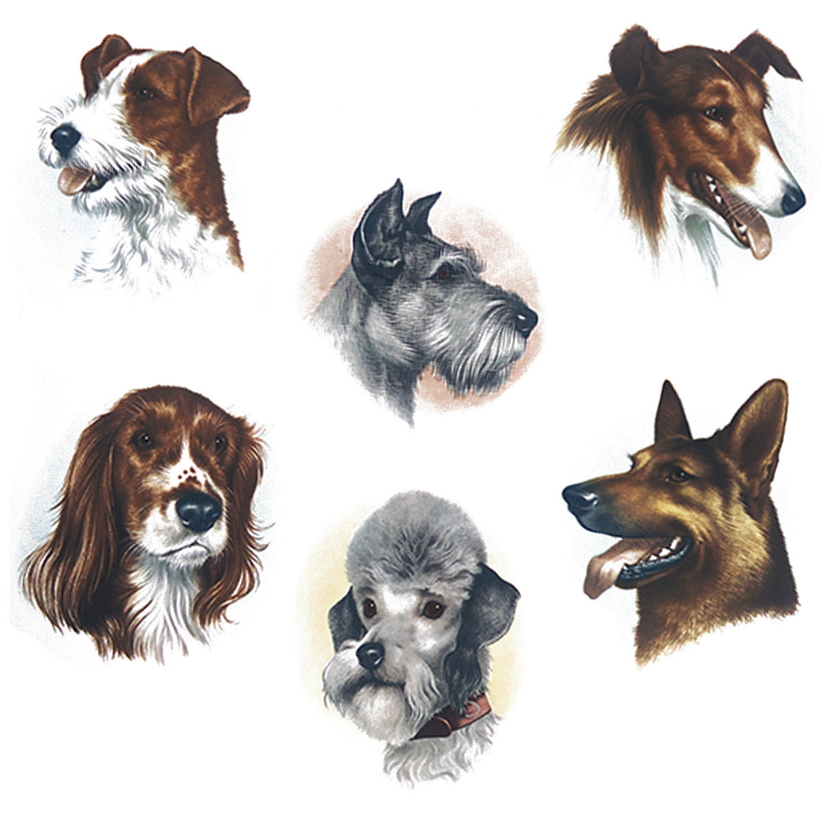 Dog Portrait Overglaze Ceramic Decals