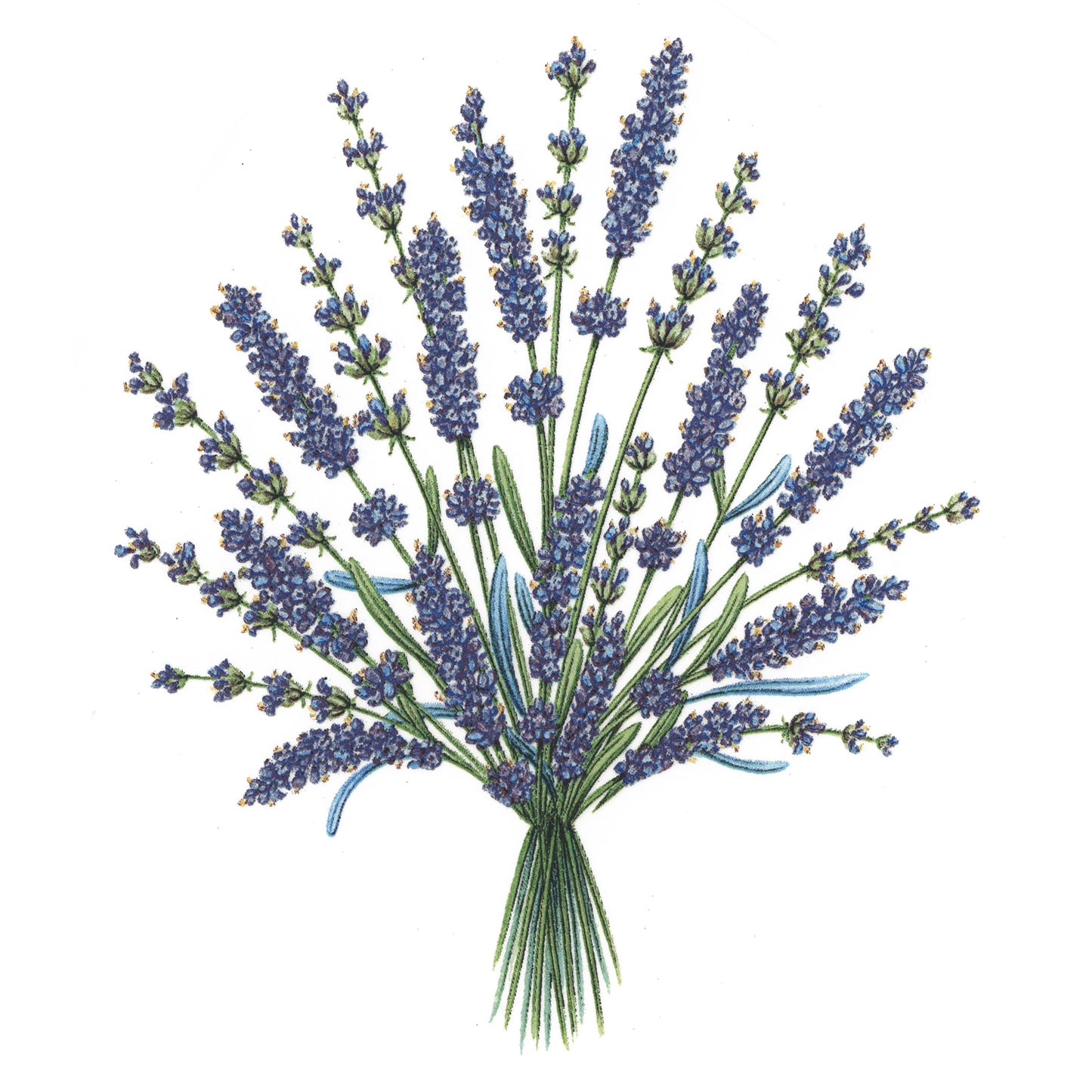 Flowers Lavender Overglaze Ceramic Decals